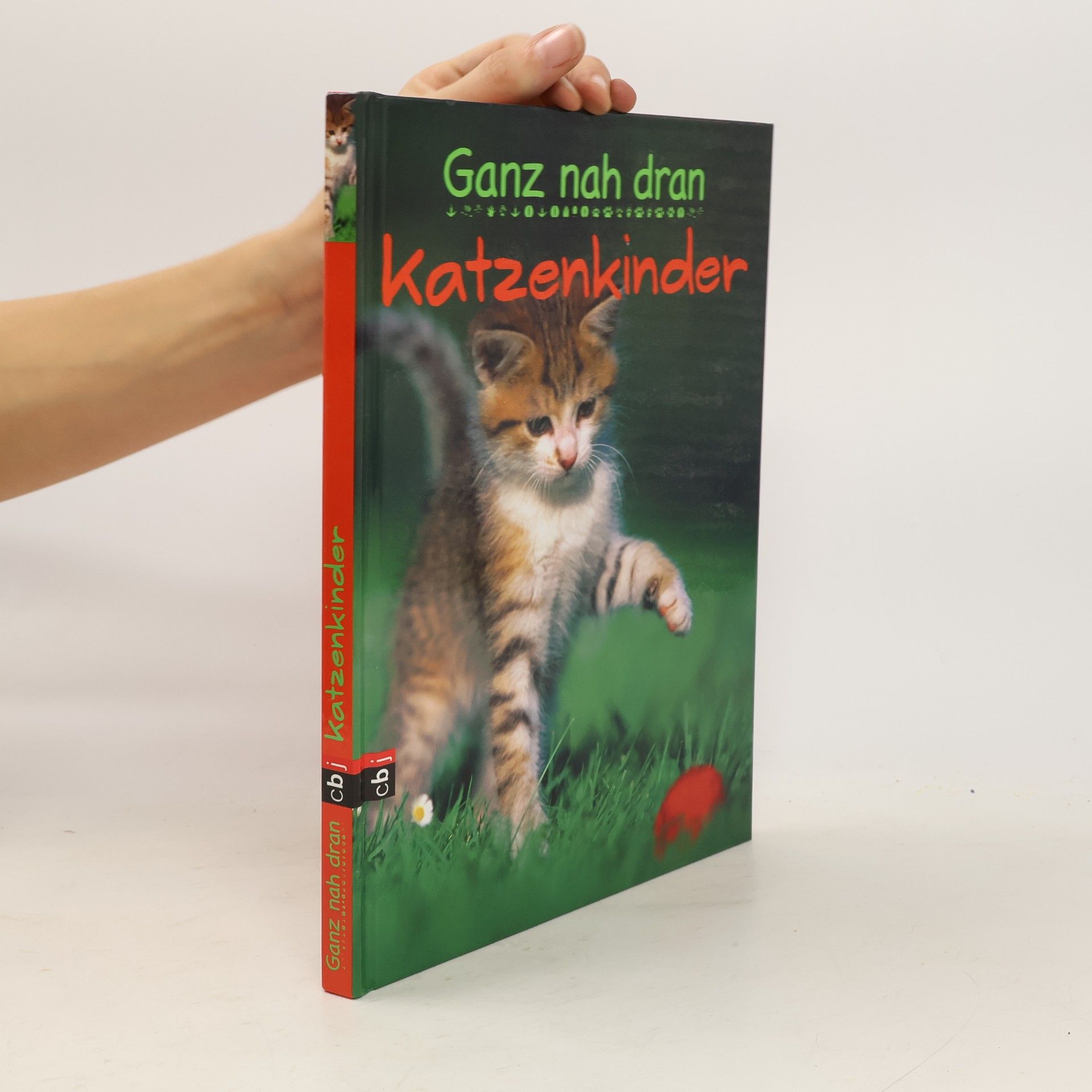 Cornelia Panzacchi Katzenkinder