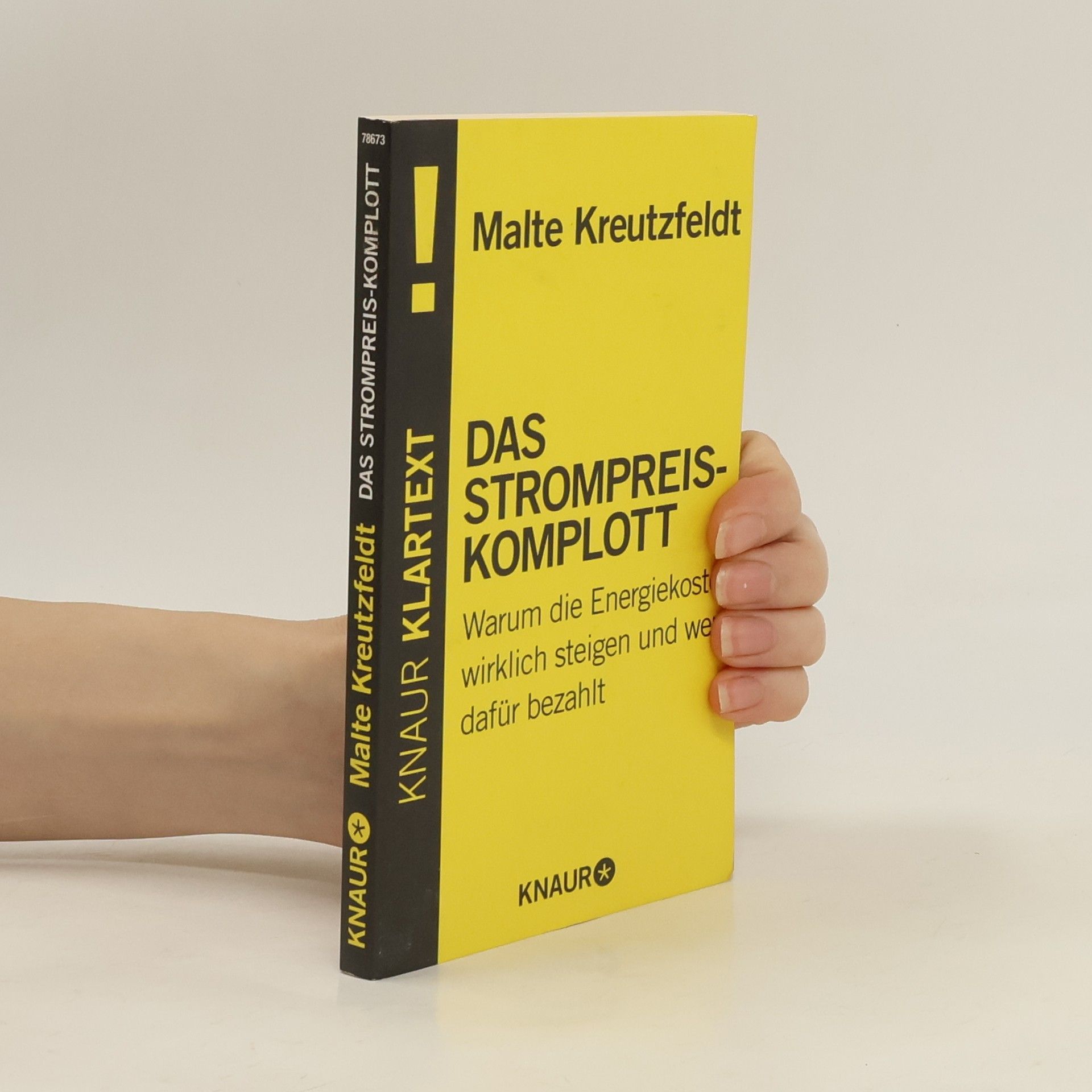 Malte Kreutzfeldt Das Strompreis-Komplott