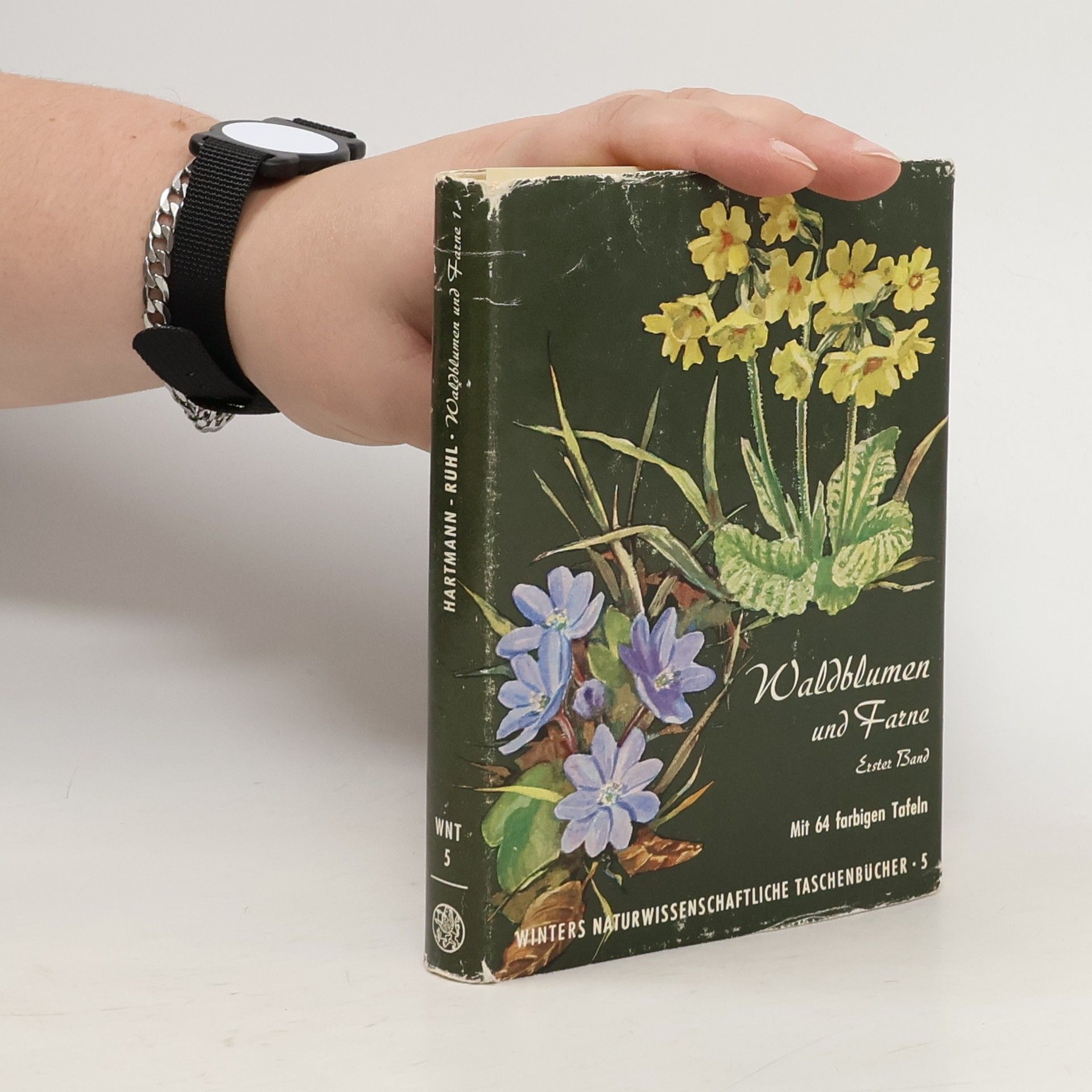 Arthur Ruhl Unsere Waldbumen und Farngewächse. Erster Band