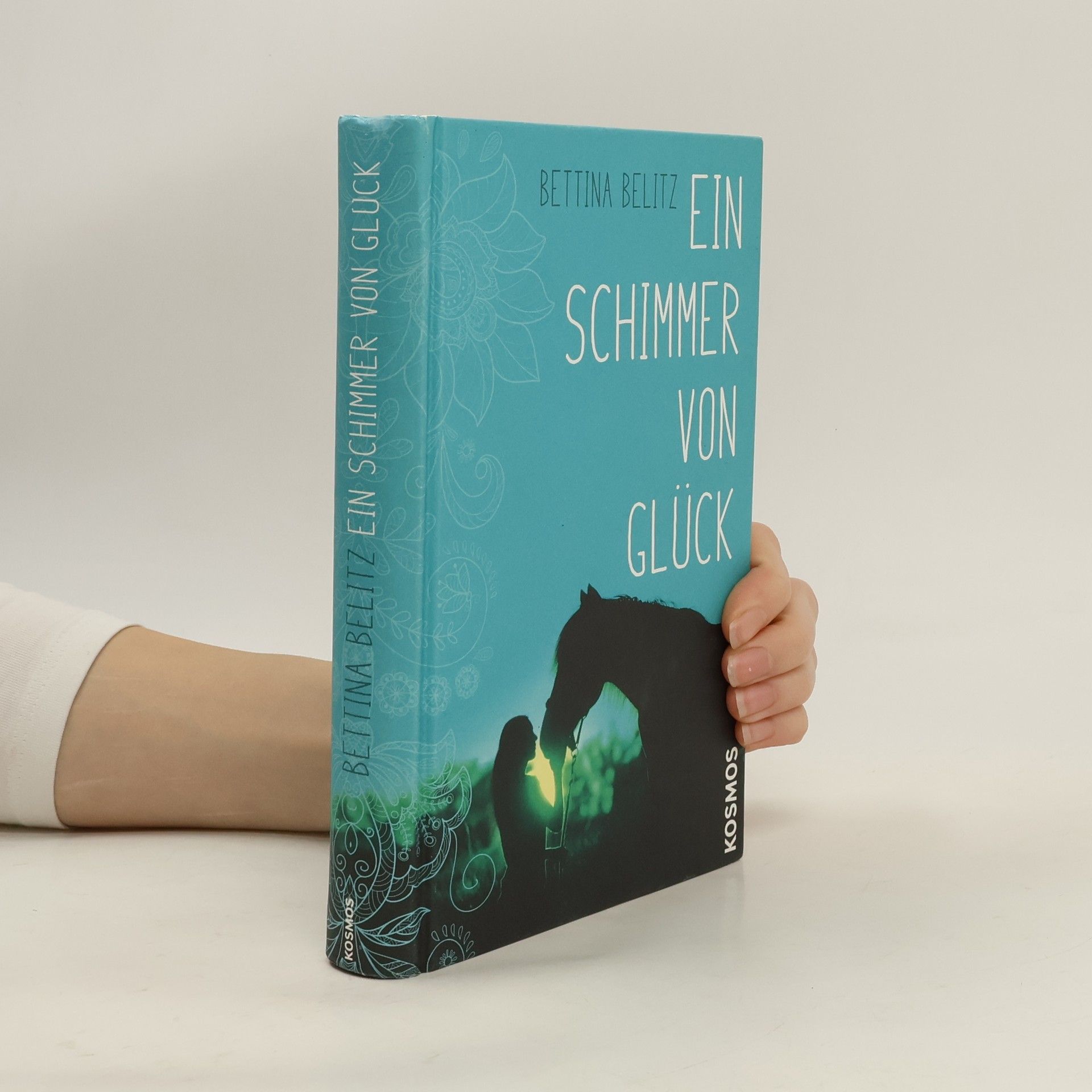 Bettina Belitz Ein Schimmer von Glück