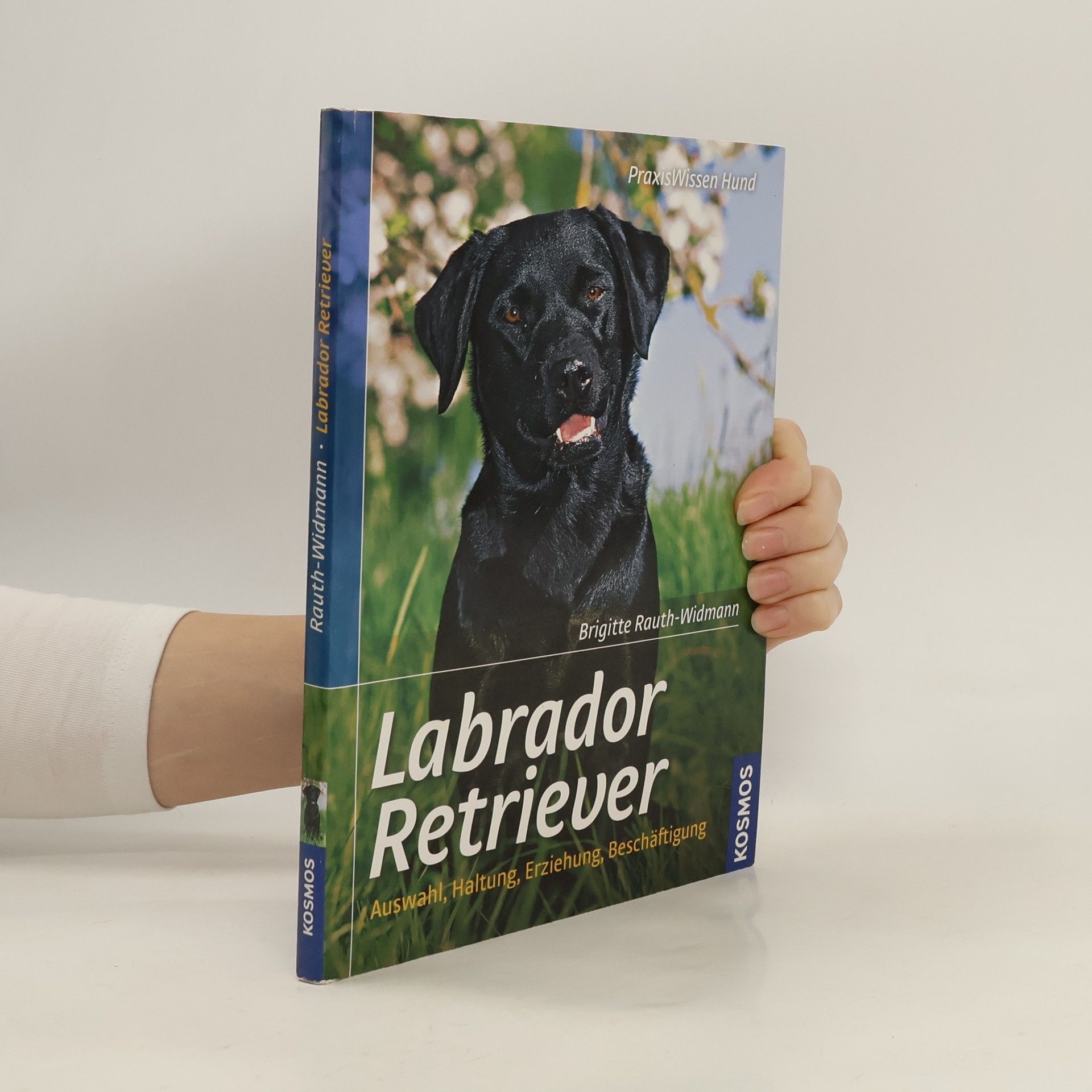 Brigitte Rauth Widmann Labrador Retriever