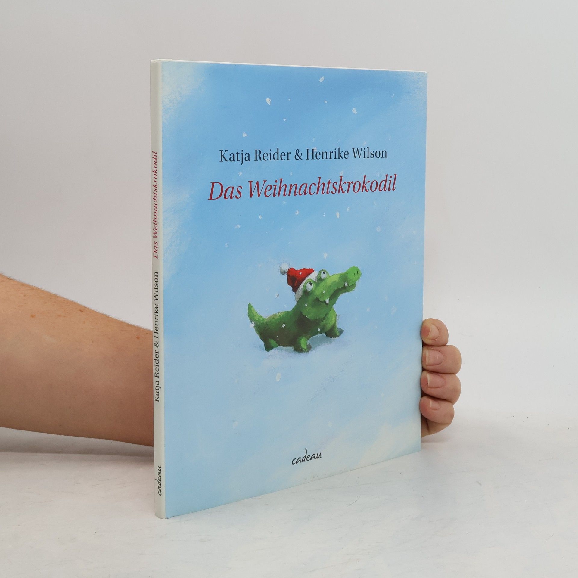 Katja Reider Das Weihnachtskrokodil