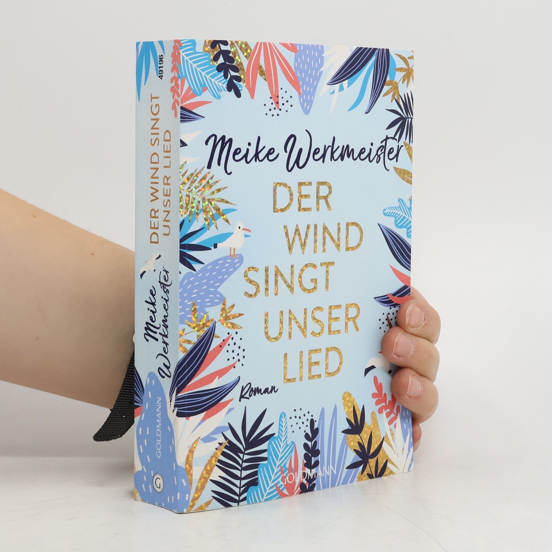 Meike Werkmeister Der Wind singt unser Lied