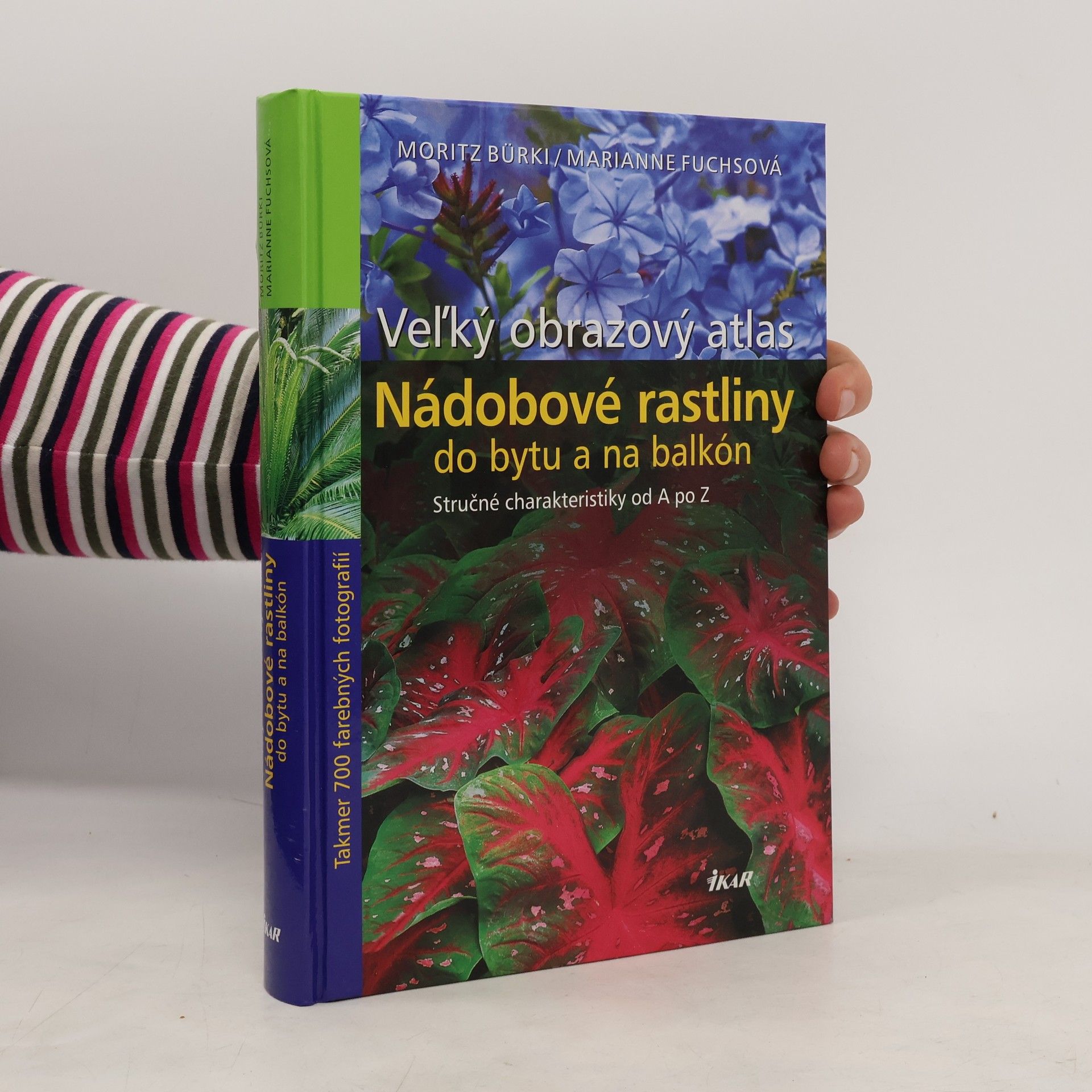 Nádobové rastliny do bytu a na balkón