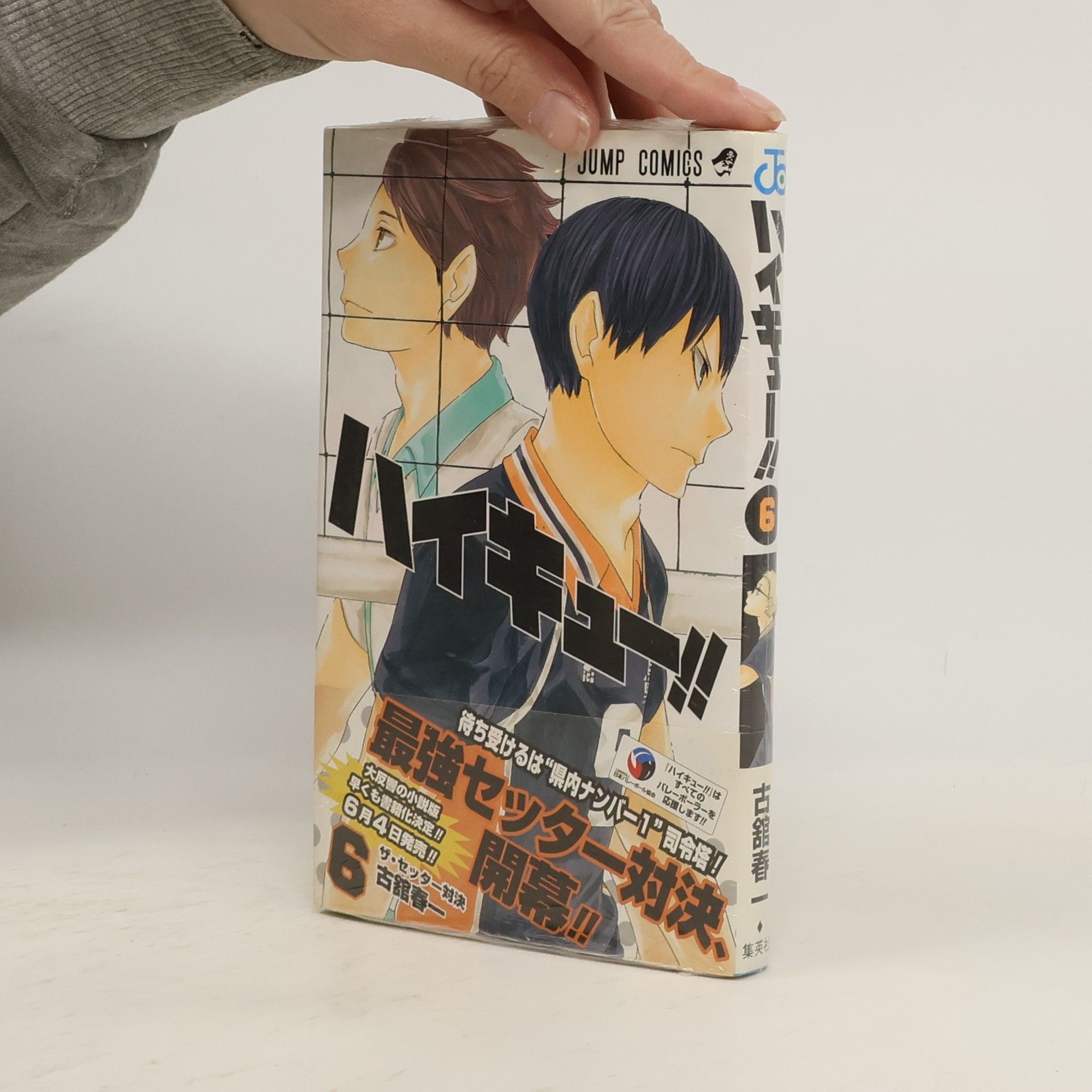 Haruichi Furudate ハイキュー!! 6