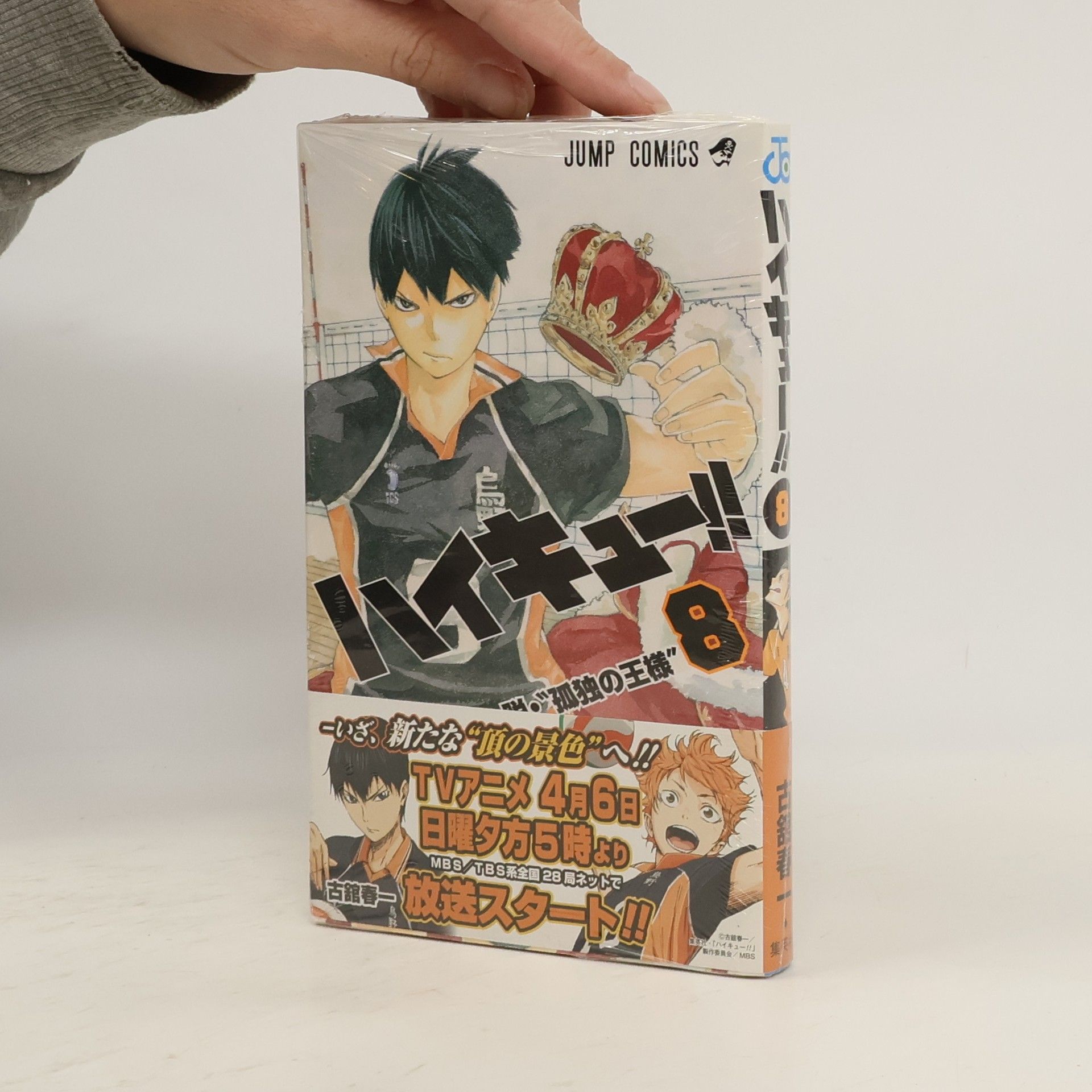 Haruichi Furudate ハイキュー!!