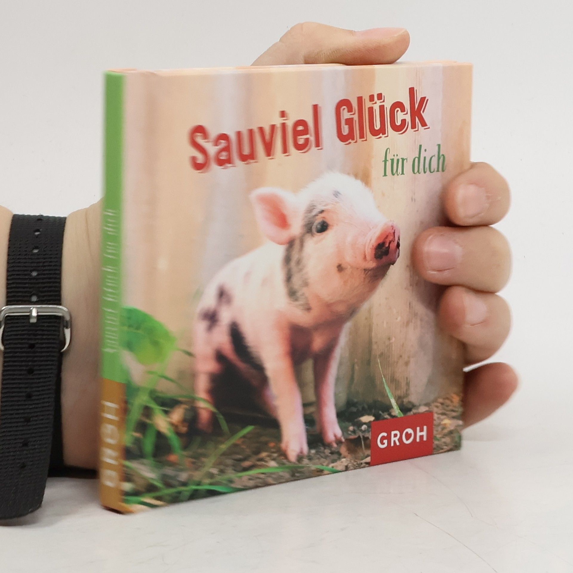 Joachim Groh Sauviel Glück für dich