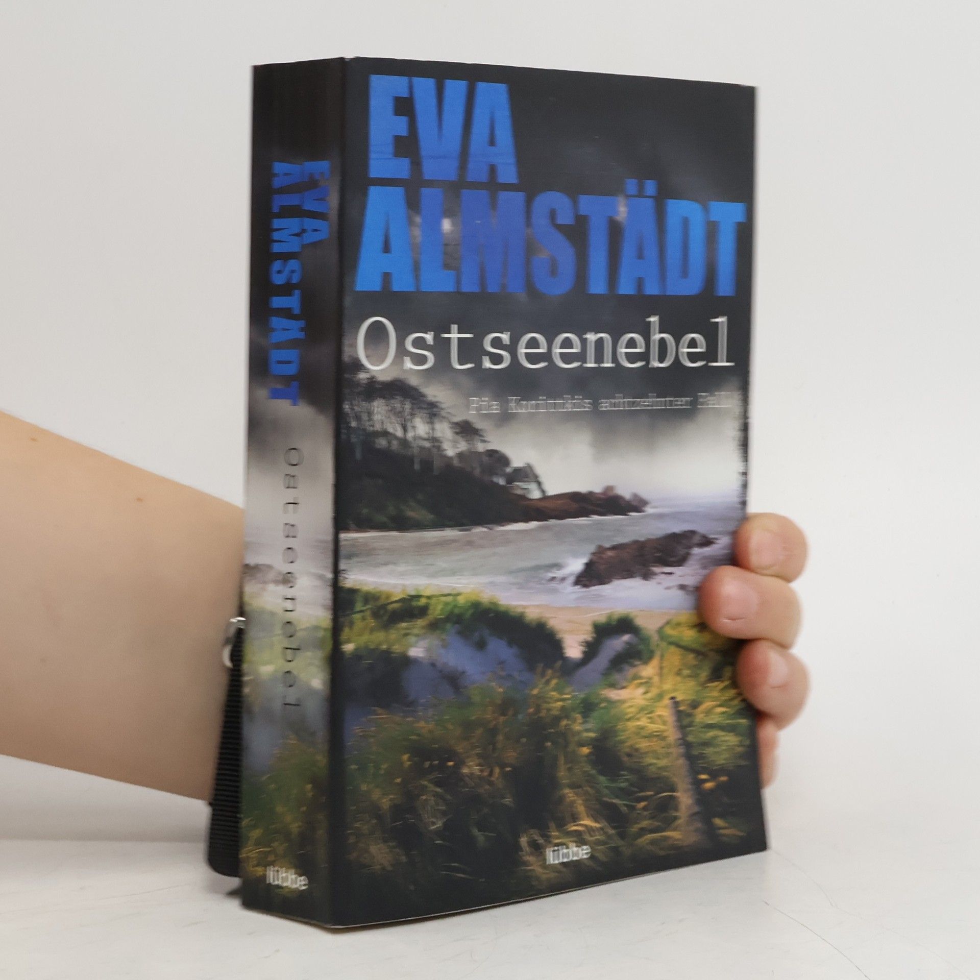 Eva Almstädt Ostseenebel