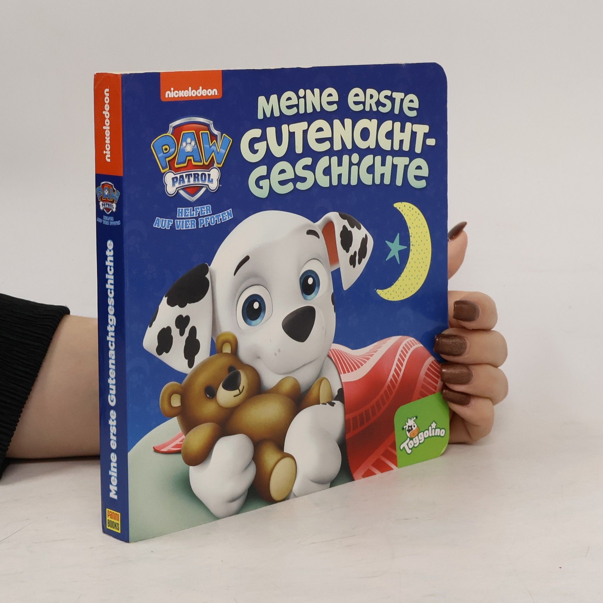 Tex Huntley PAW Patrol: Meine erste Gutenachtgeschichte