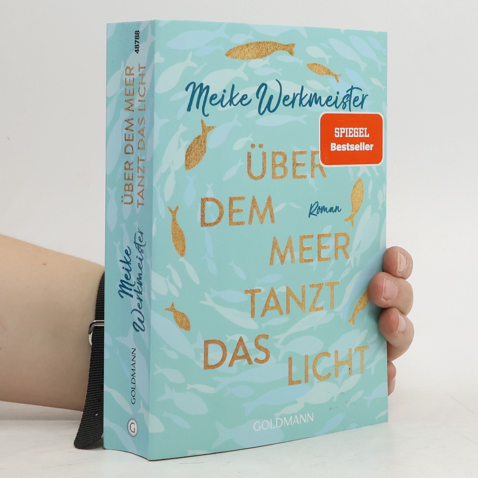 Meike Werkmeister Über dem Meer tanzt das Licht
