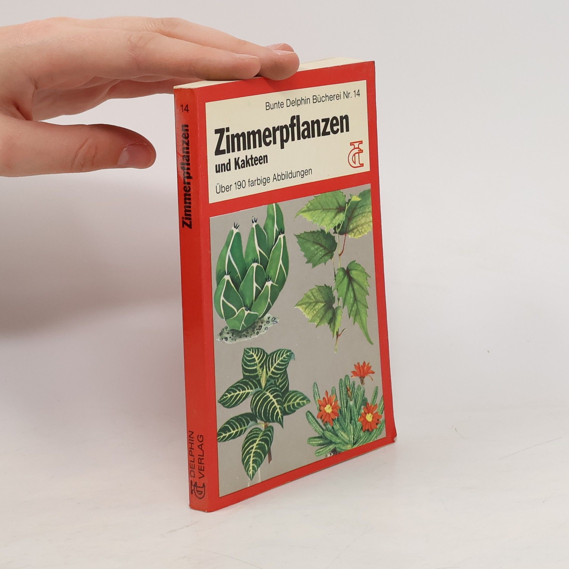 Henri Rose Zimmerpflanzen und Kakteen