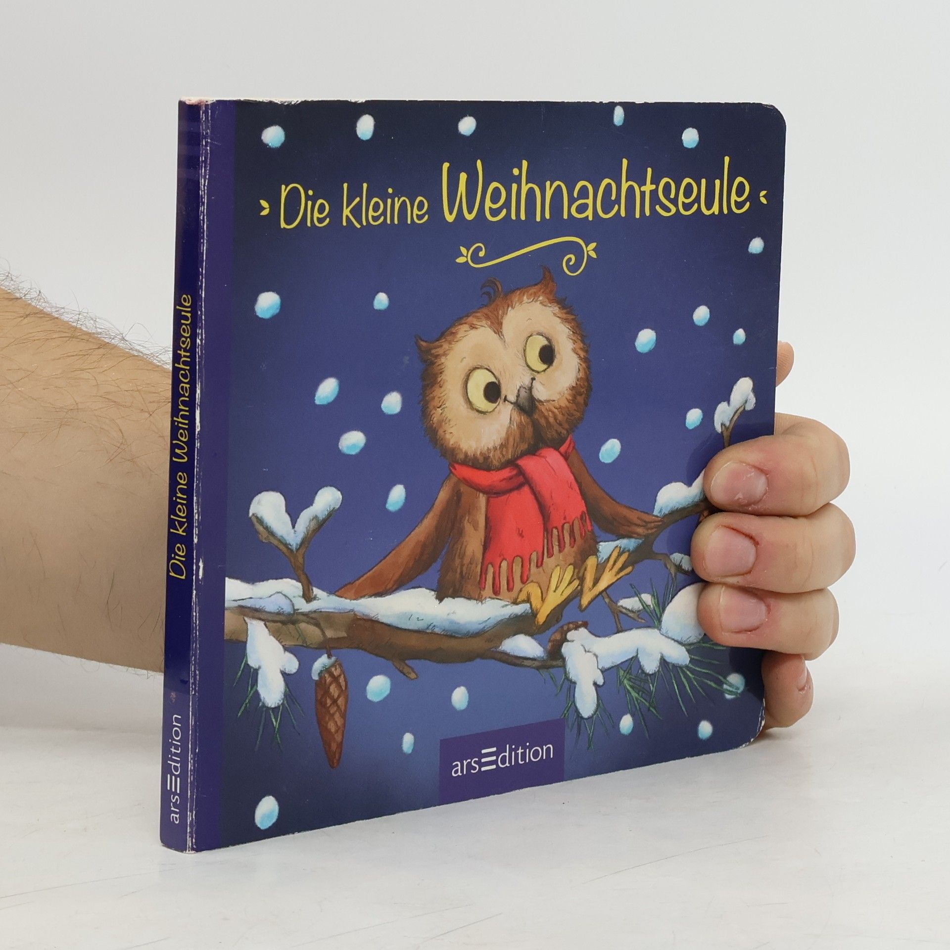 Sandra Grimm Die kleine Weihnachtseule