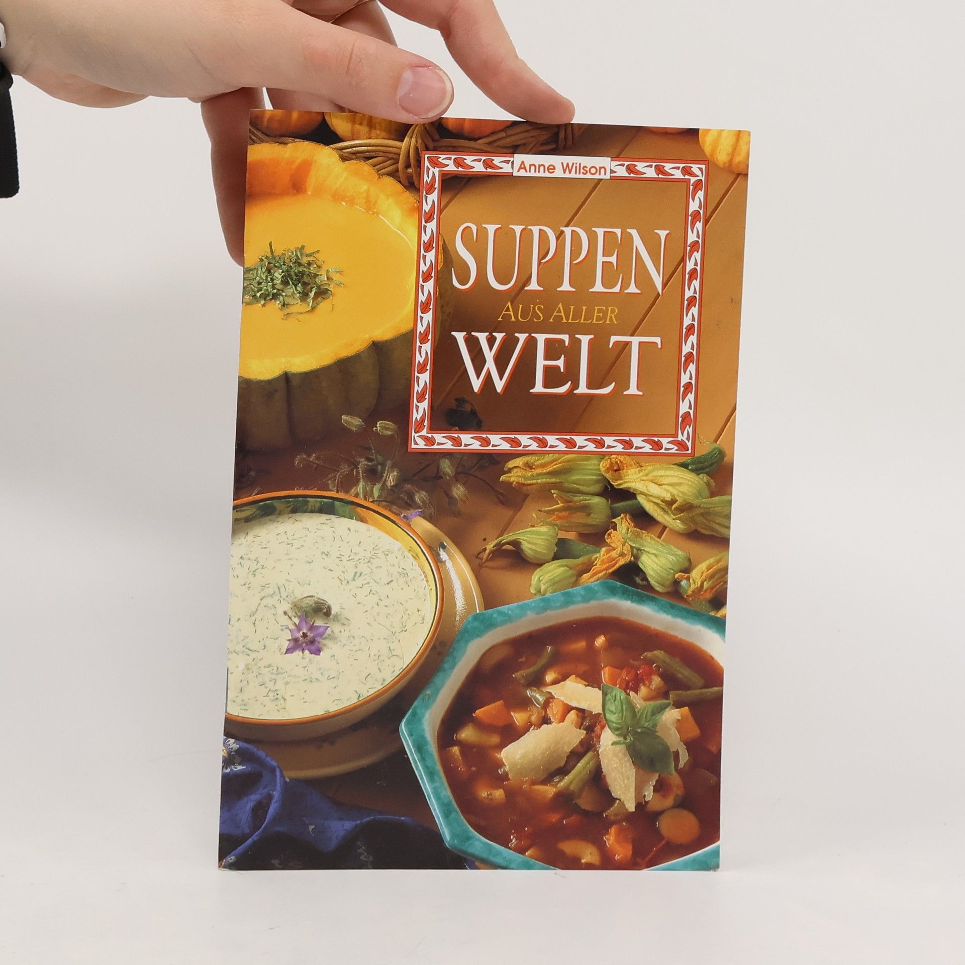Anne Wilson Suppen aus aller Welt