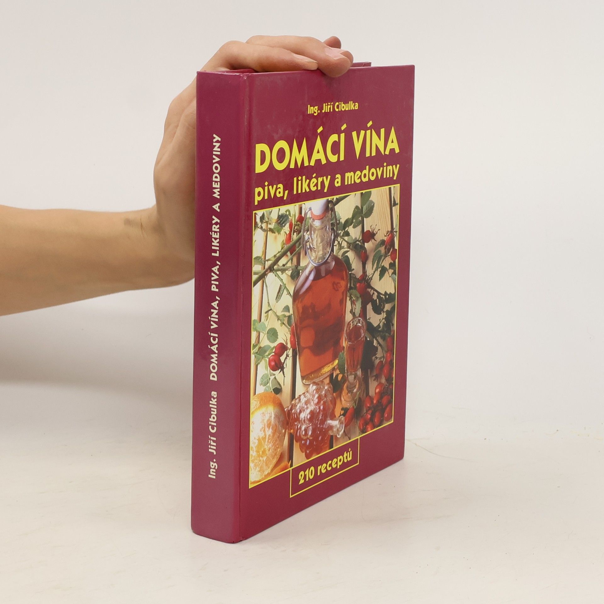 Domácí vína: Piva, likéry a medoviny