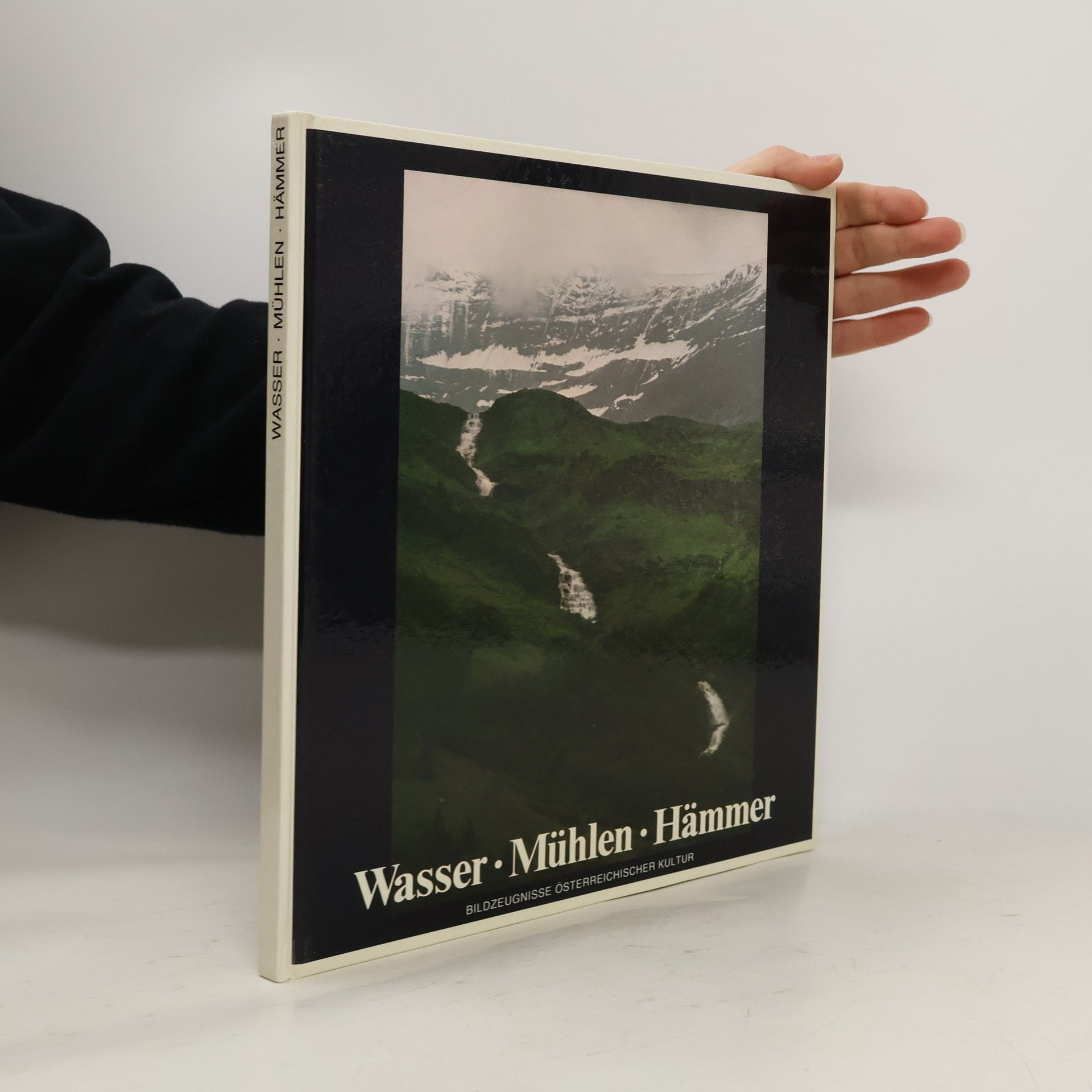 Christian Brandstätter Wasser, Mühlen, Hämmer