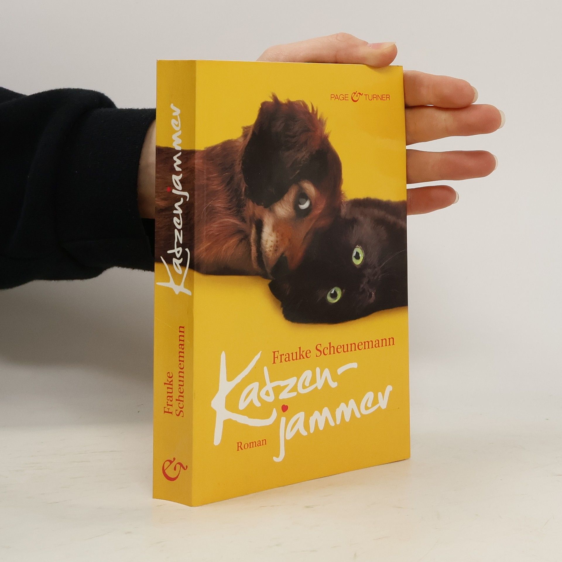 Frauke Scheunemann Katzenjammer