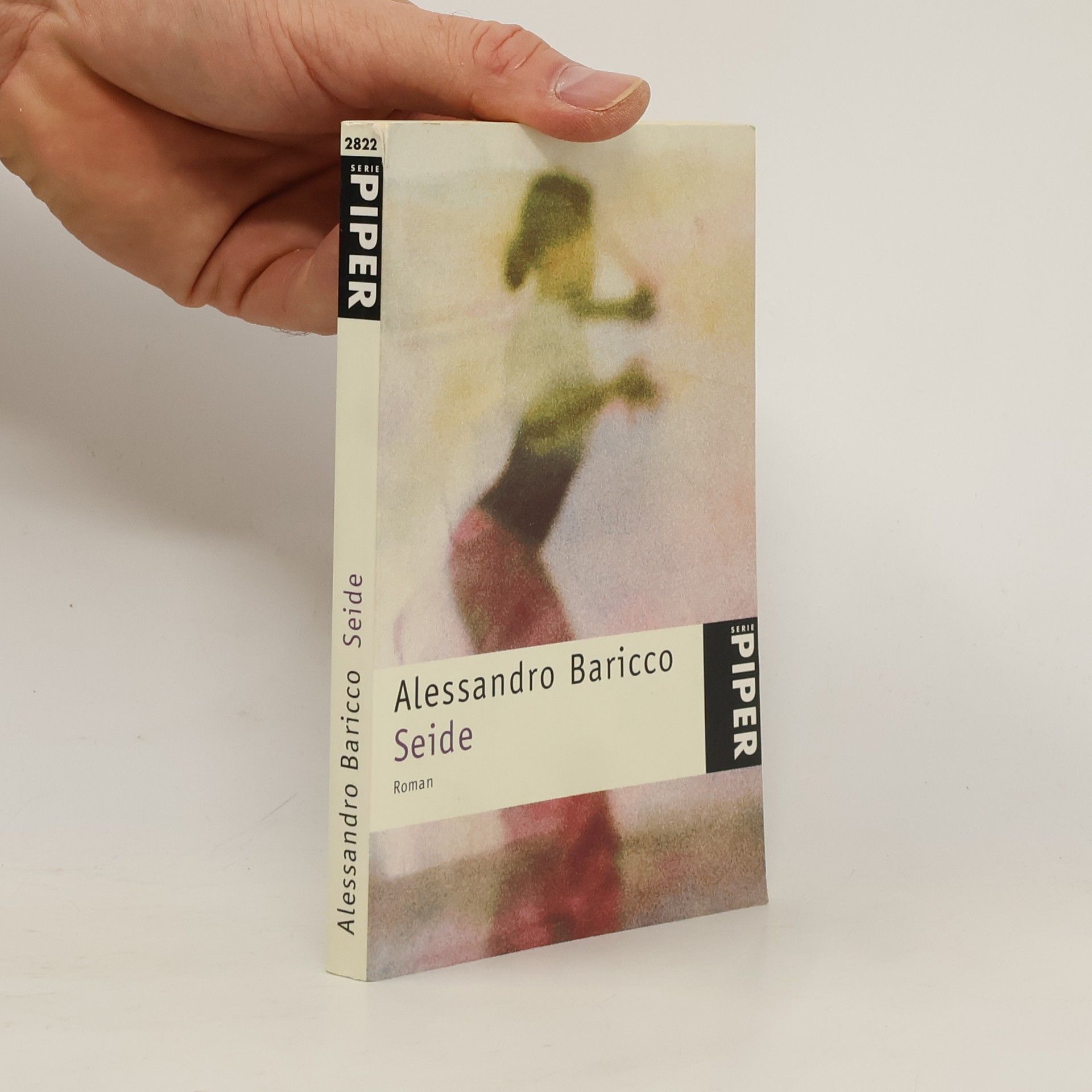 Alessandro Baricco Seide