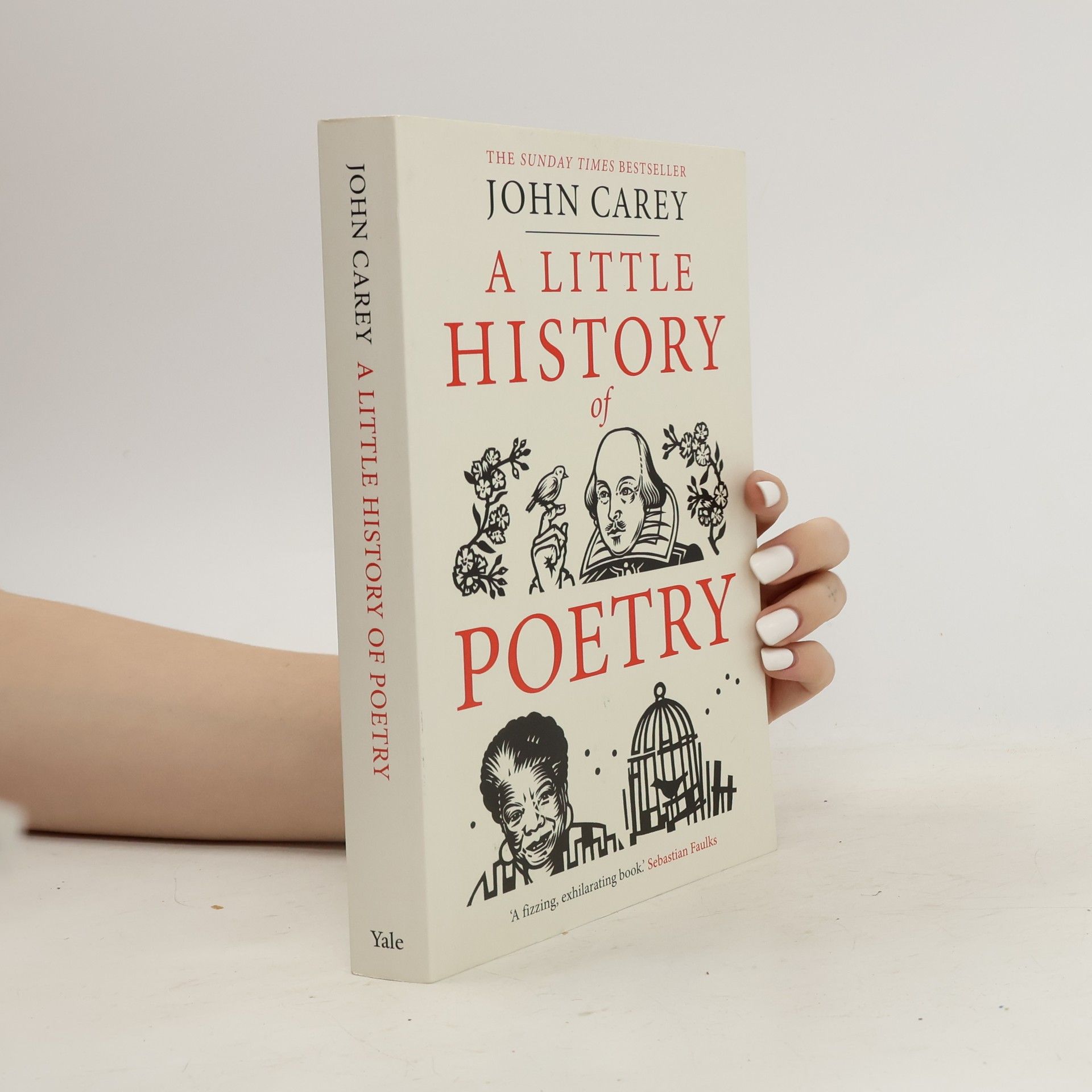 John Carey Little History of Poetry