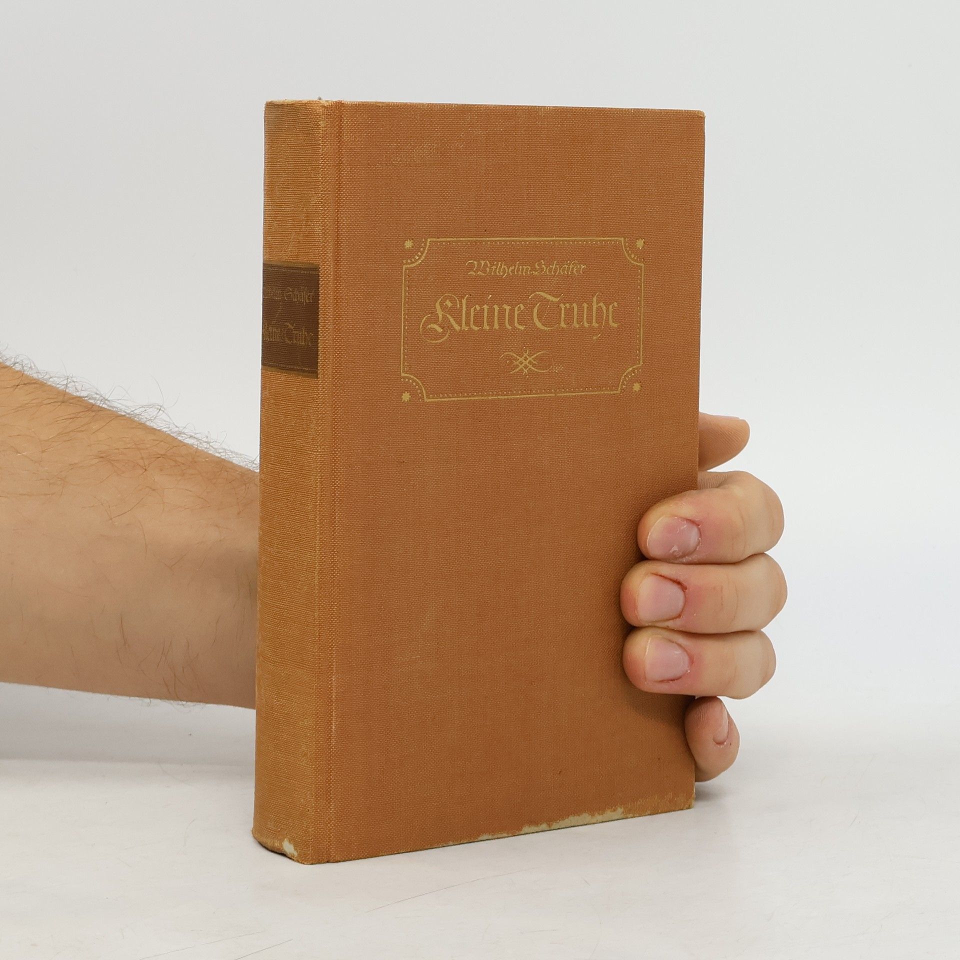 Wilhelm Schäfer Kleine truhe