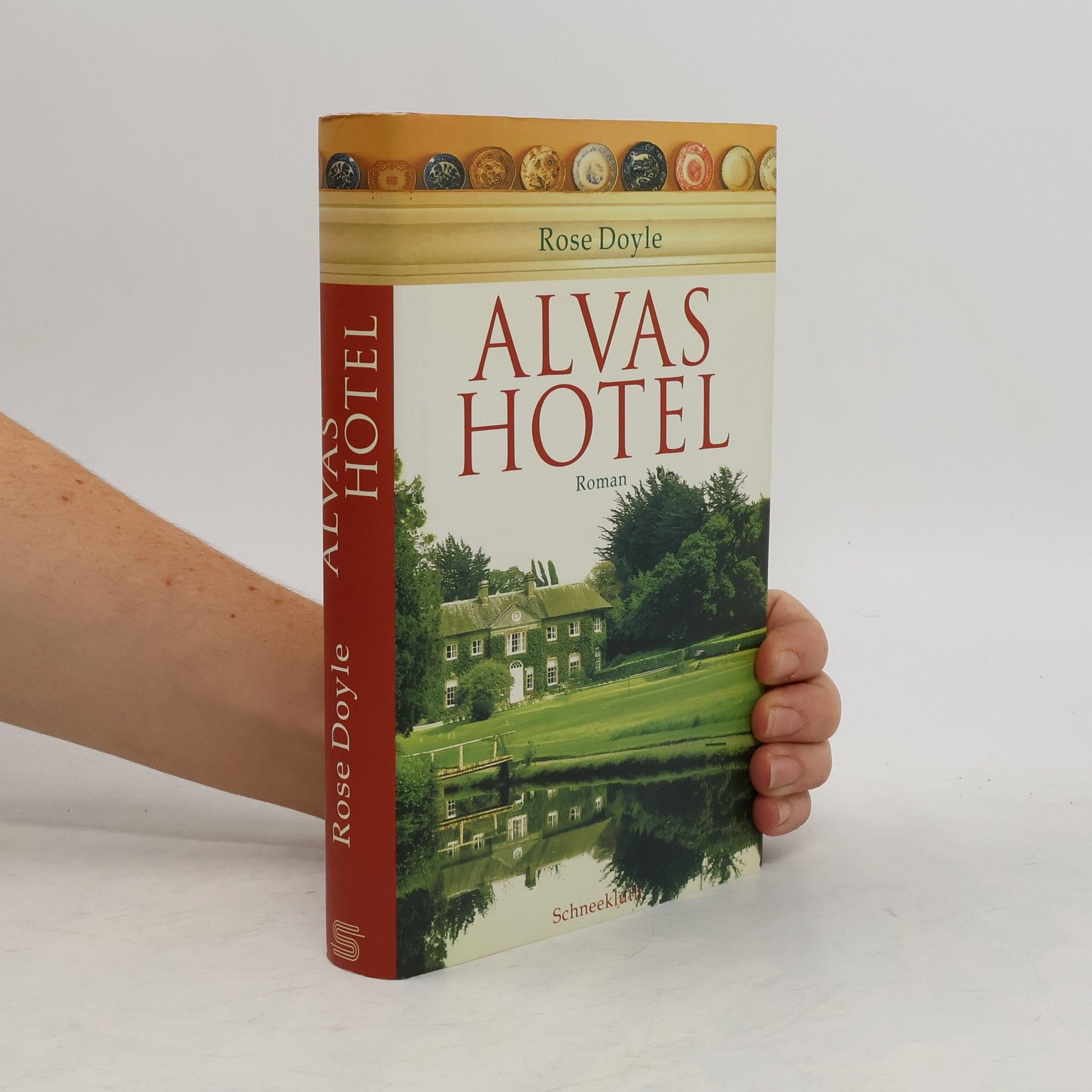 Rose Doyle Alvas Hotel. Roman. Deutsch v. Katarina Ganslandt