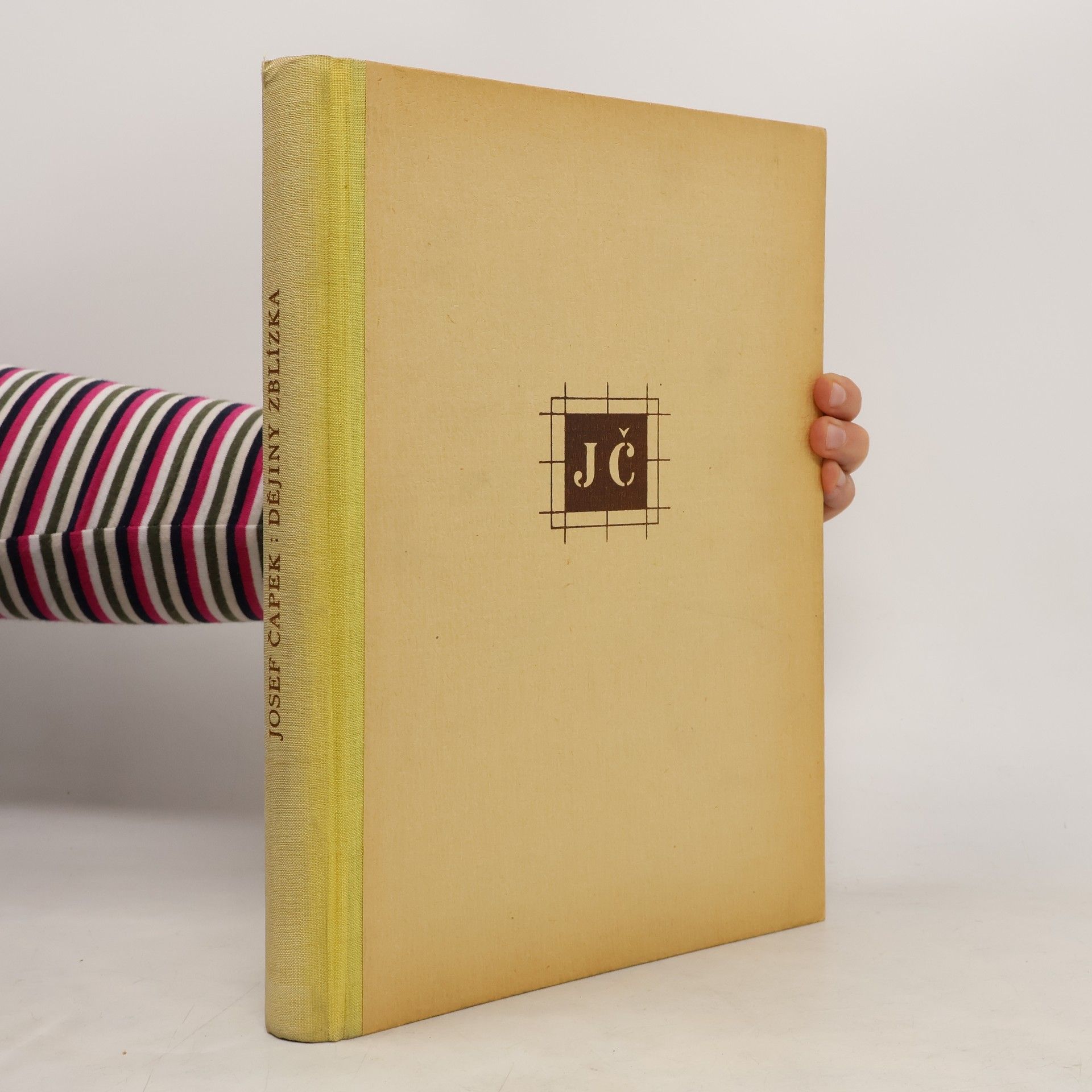 Josef Čapek Dějiny z blízka