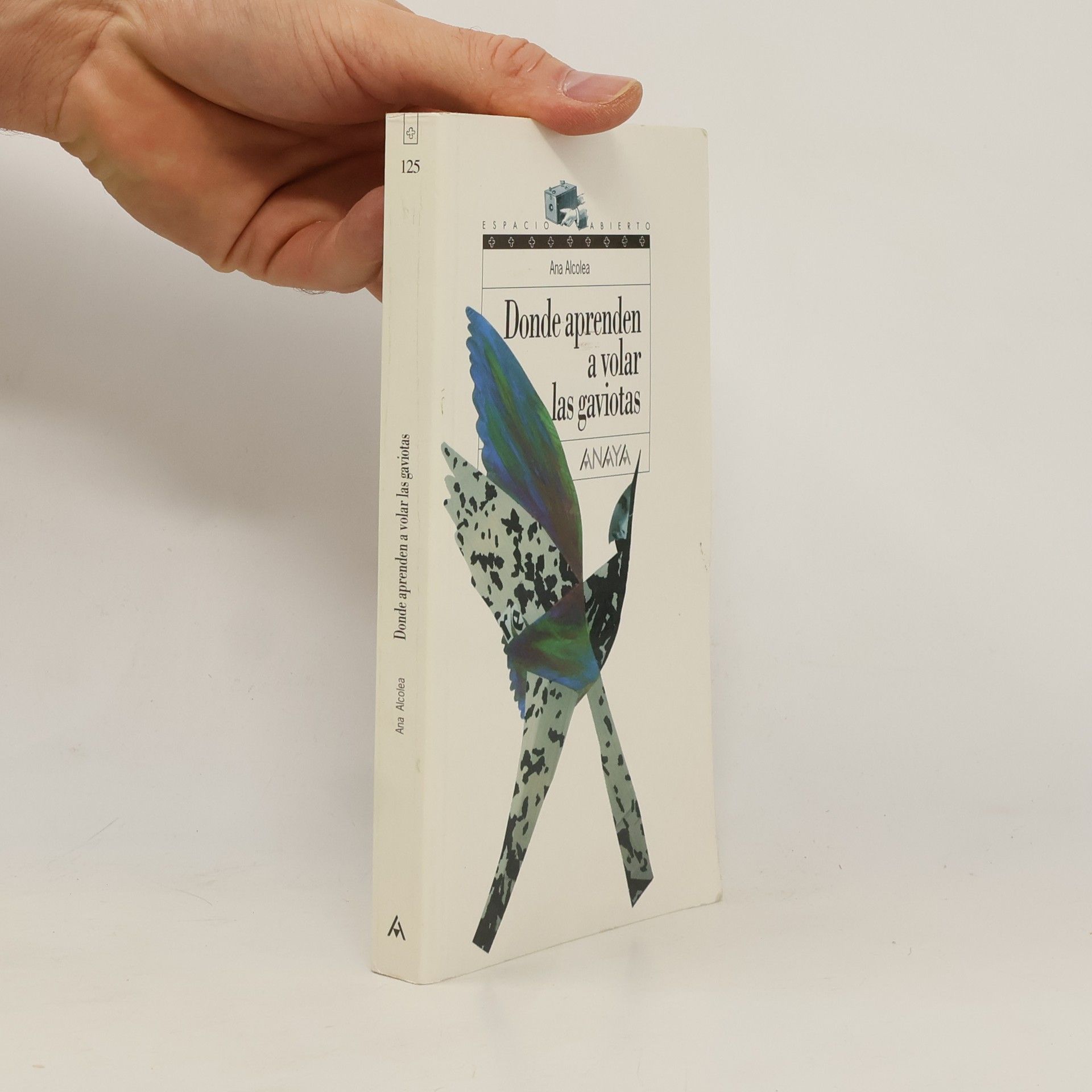 Ana Alcolea Donde aprenden a volar las gaviotas