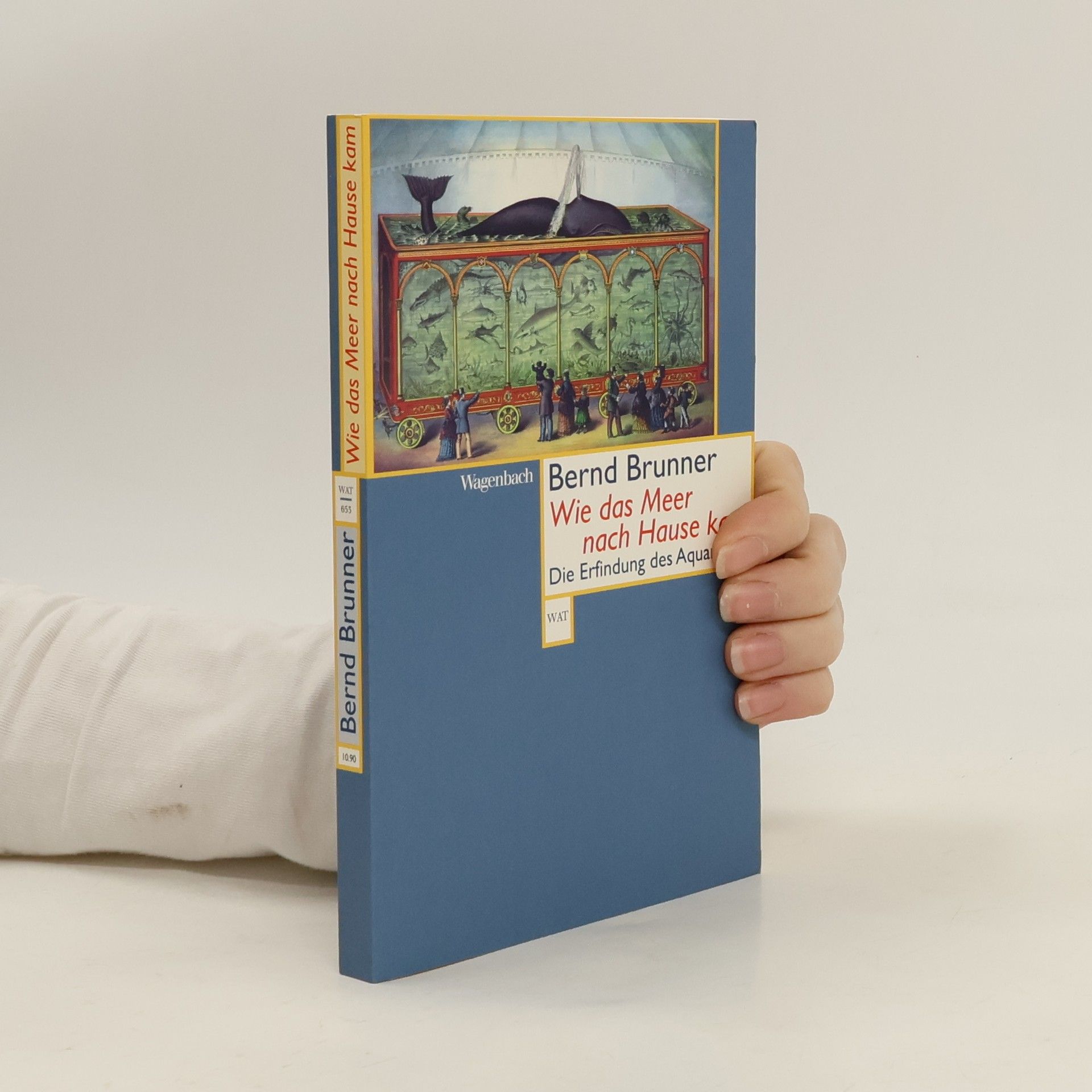 Bernd Brunner Wie das Meer nach Hause kam