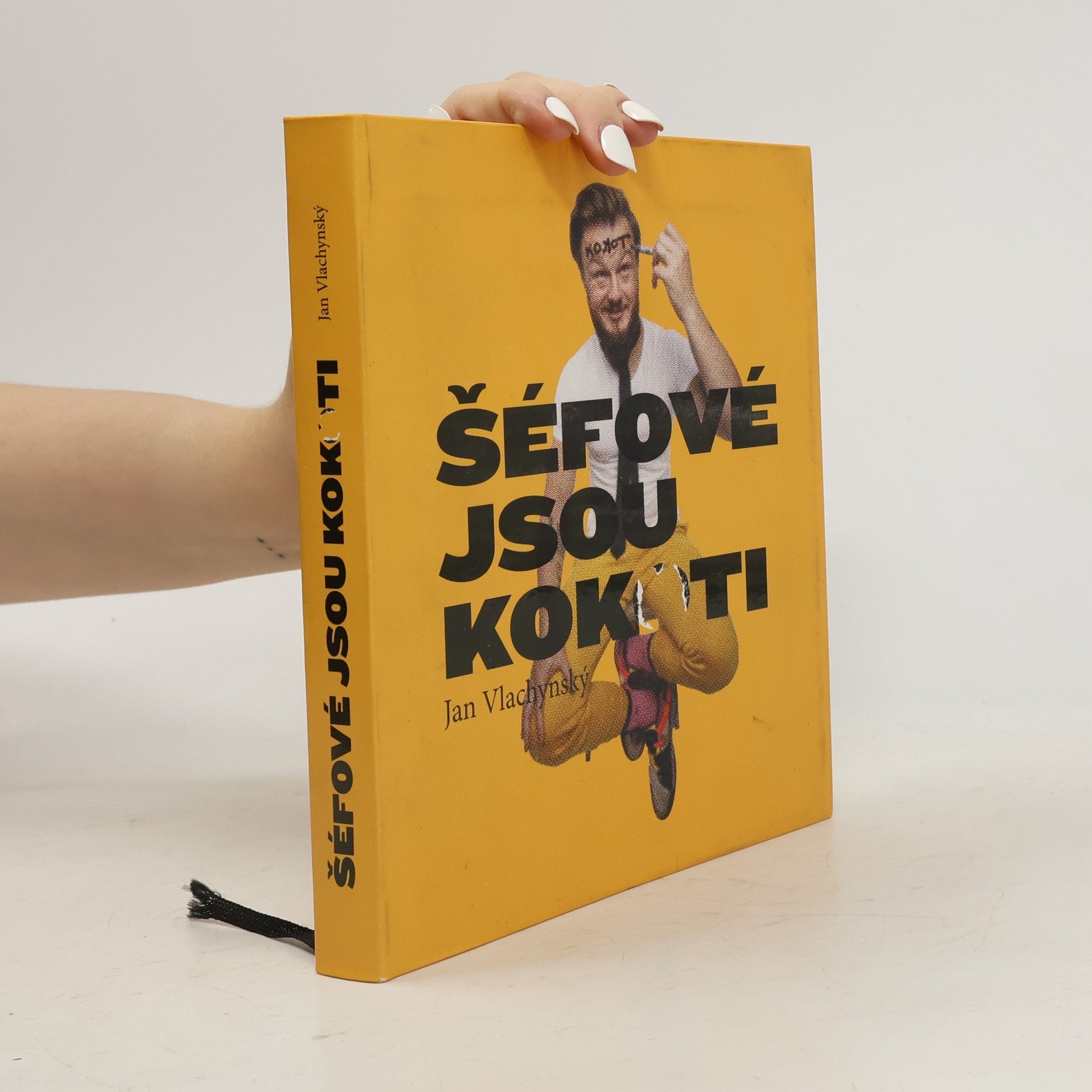 Jan Vlachynský Šéfové jsou kokoti