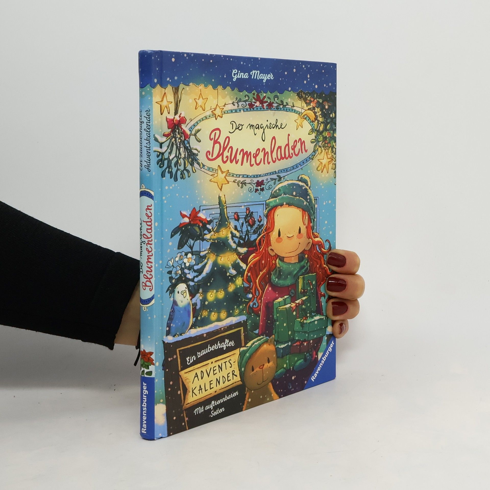 Gina Mayer Der magische Blumenladen - ein zauberhafter Adventskalender