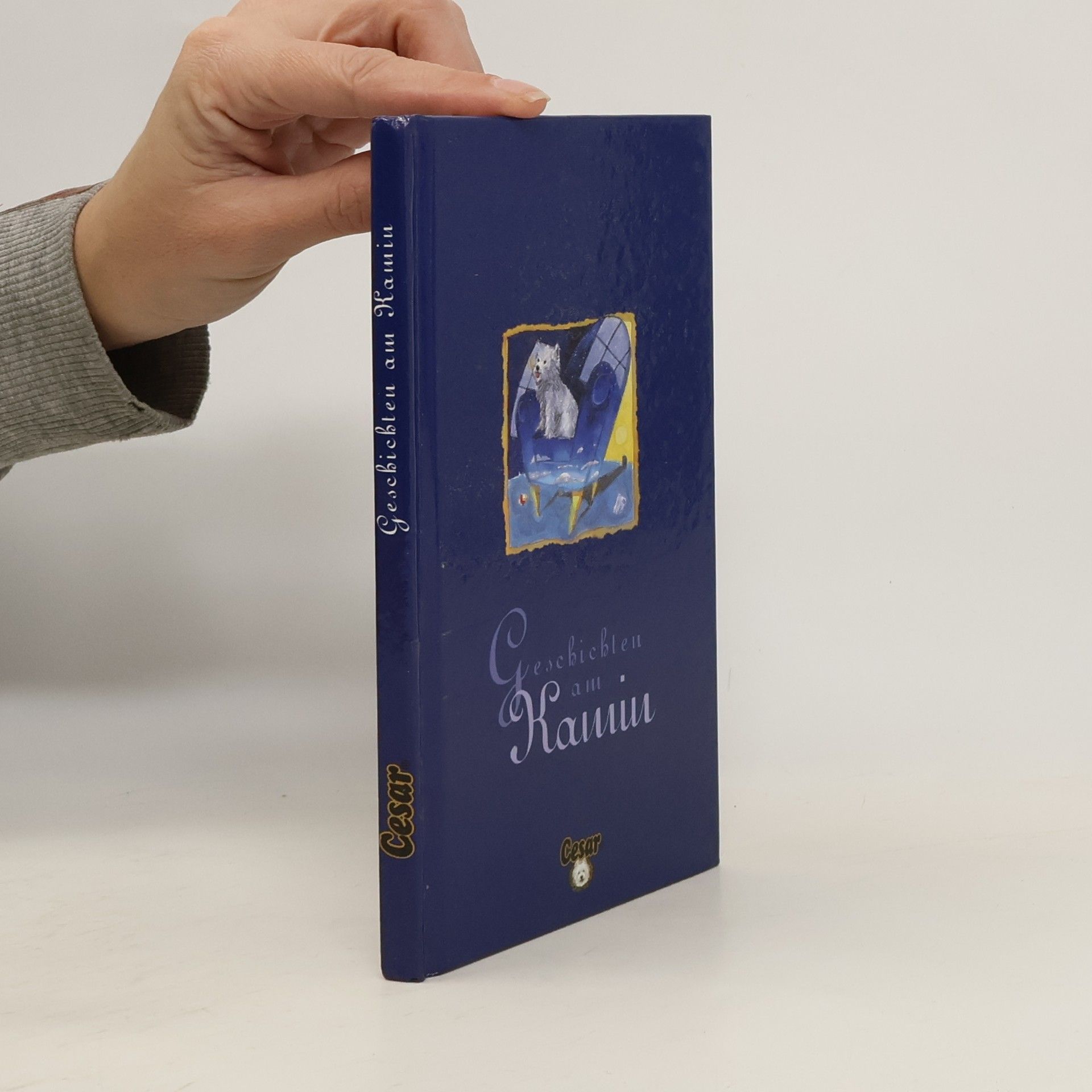 Autorenkollektiv Geschichten am Kamin