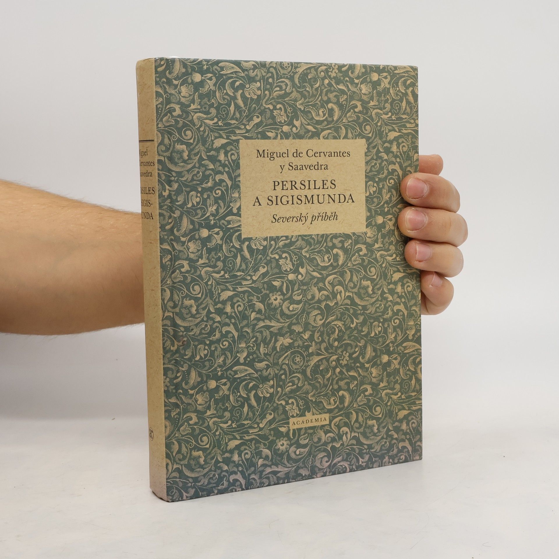 Miguel de Cervantes y Saavedra Persiles a Sigismunda: Severský příběh