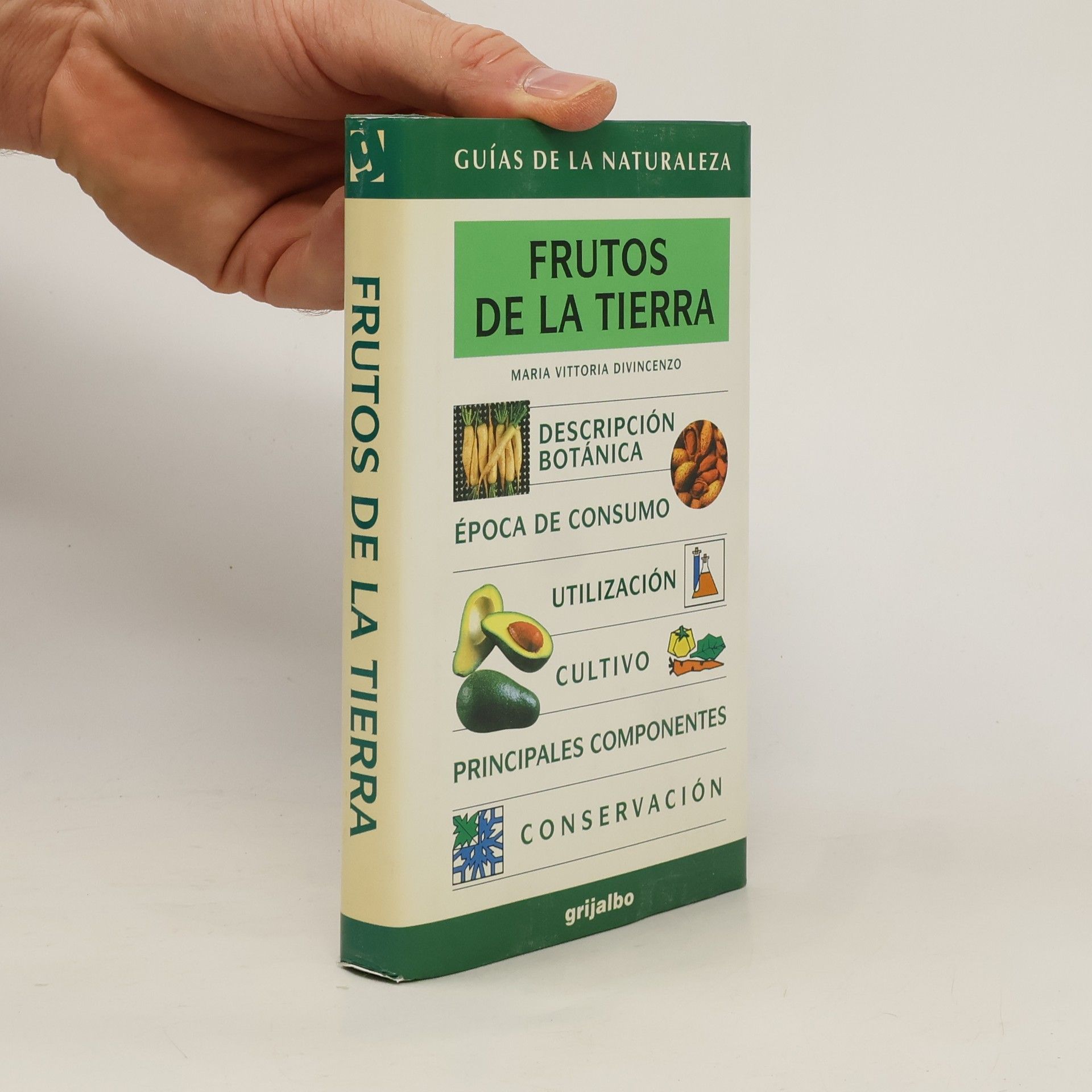 Maria Vittoria Divincenzo Frutos de la tierra