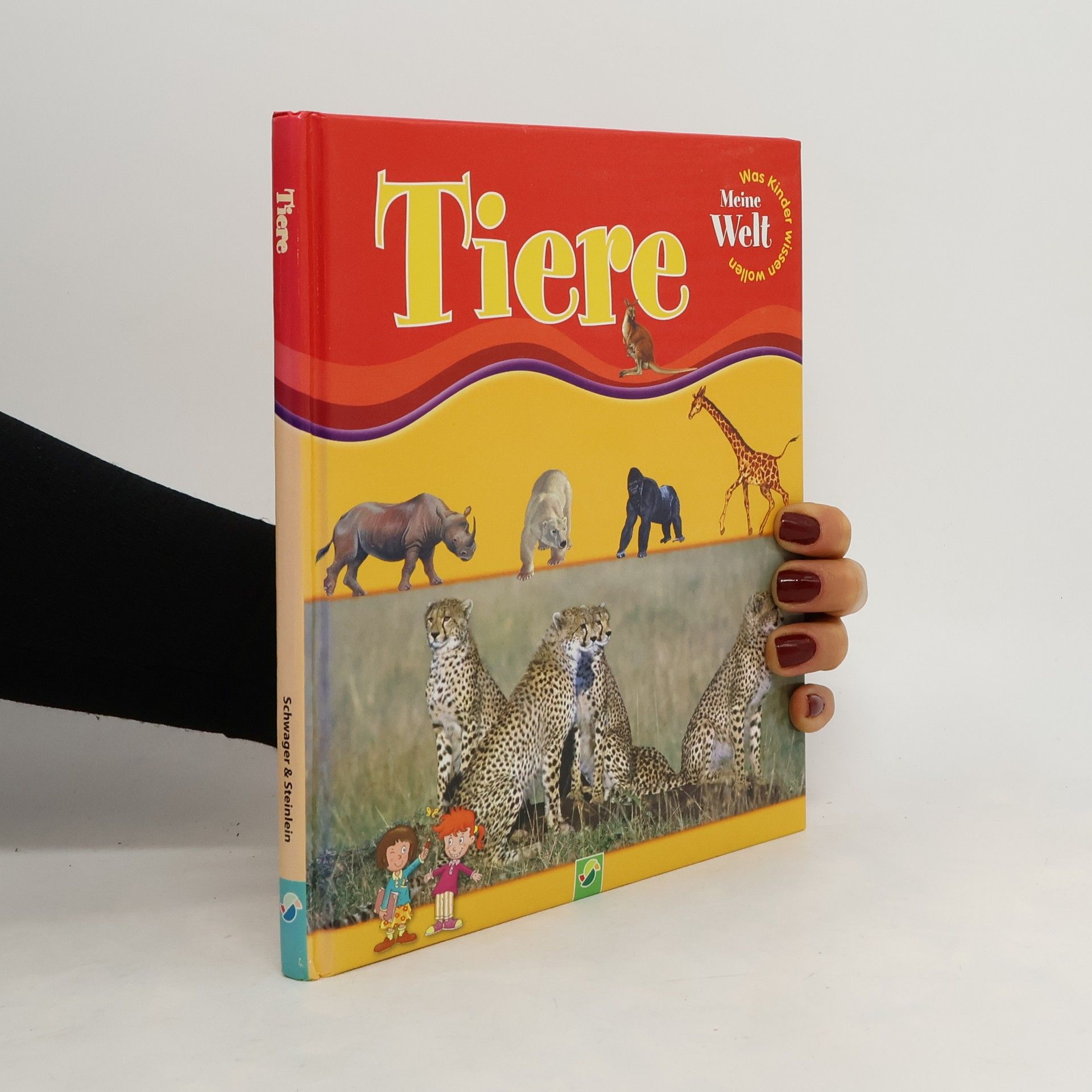 Alessandro Cantucci Meine Welt