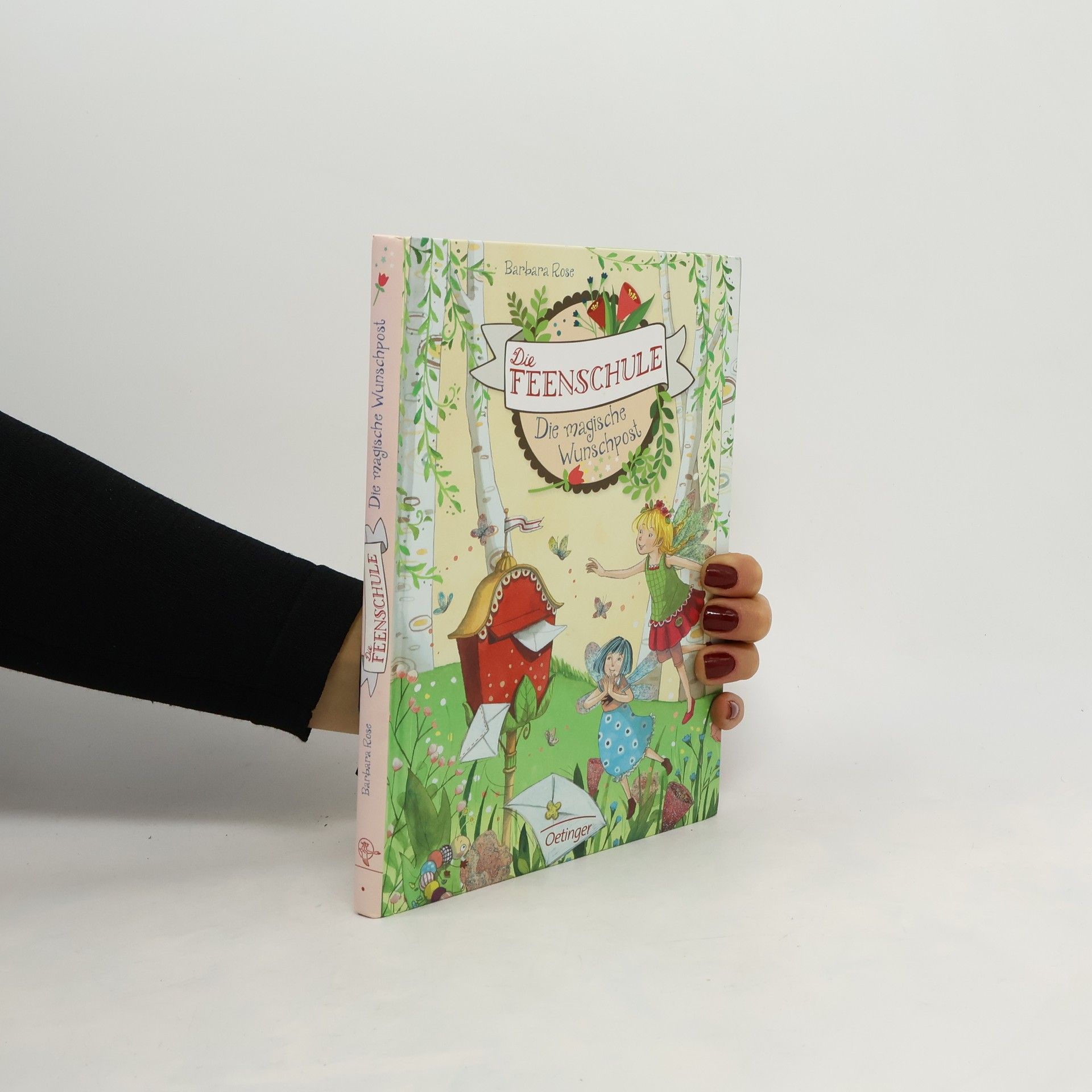 Barbara Rose Die Feenschule. Die magische Wunschpost