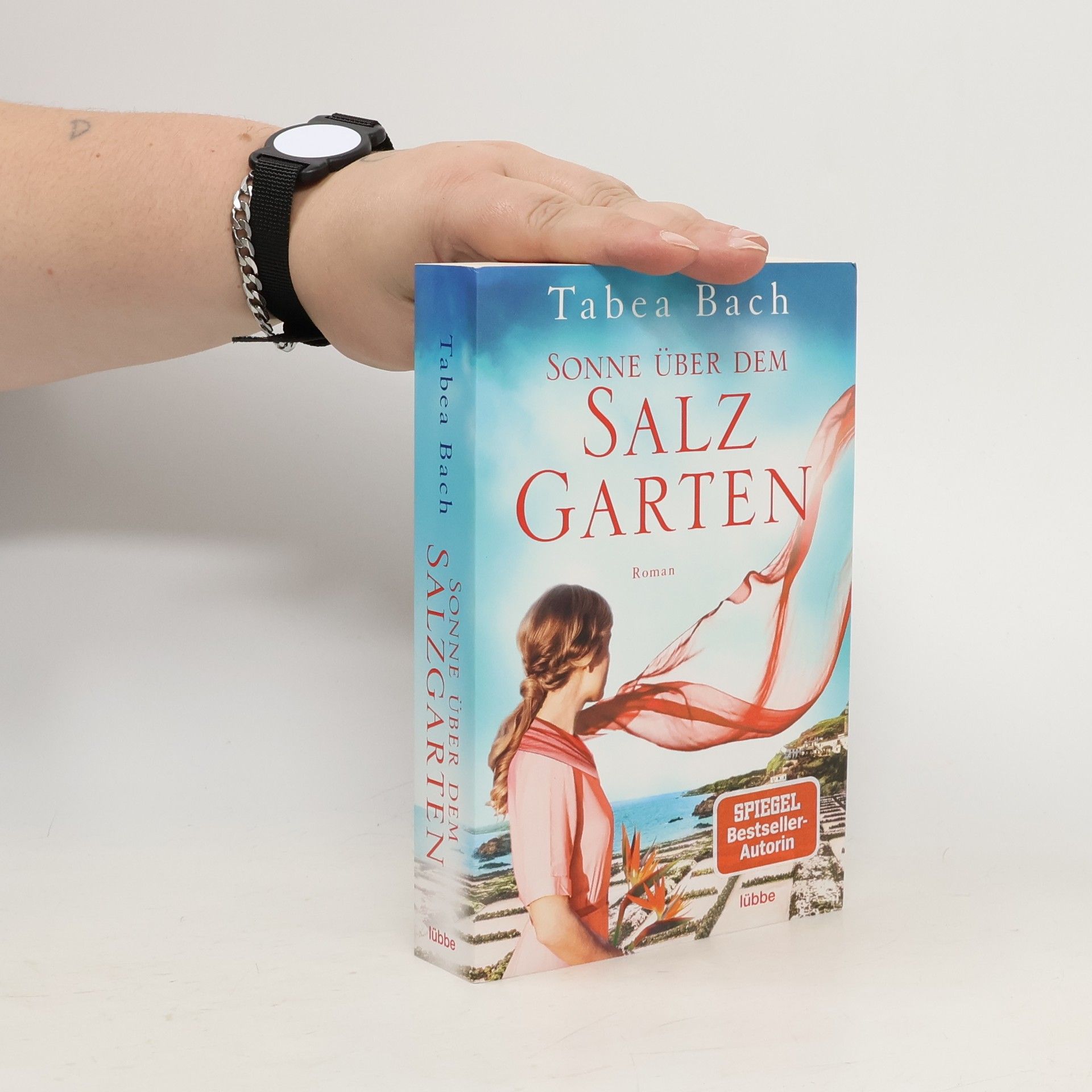 Sonne über dem Salzgarten