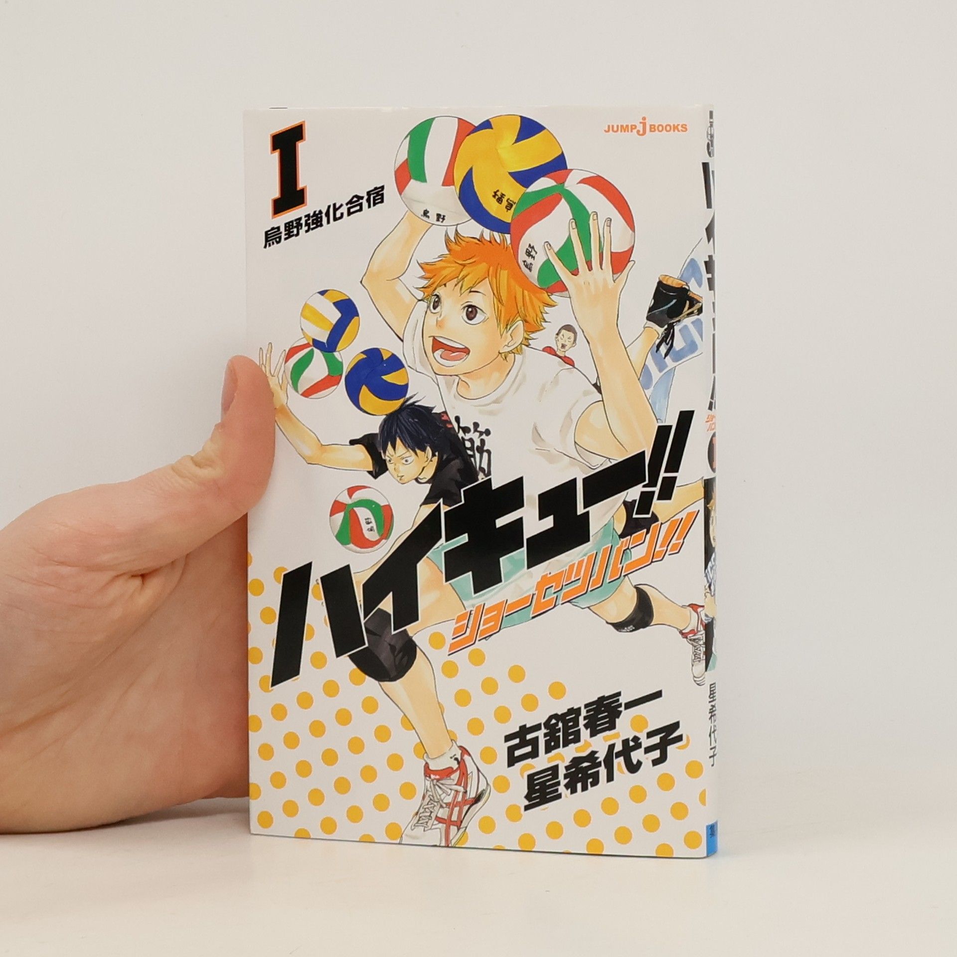 ハイキュー!!ショーセツバン!!