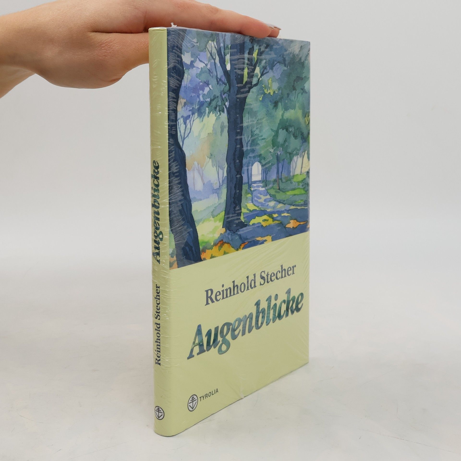 Reinhold Stecher Augenblicke
