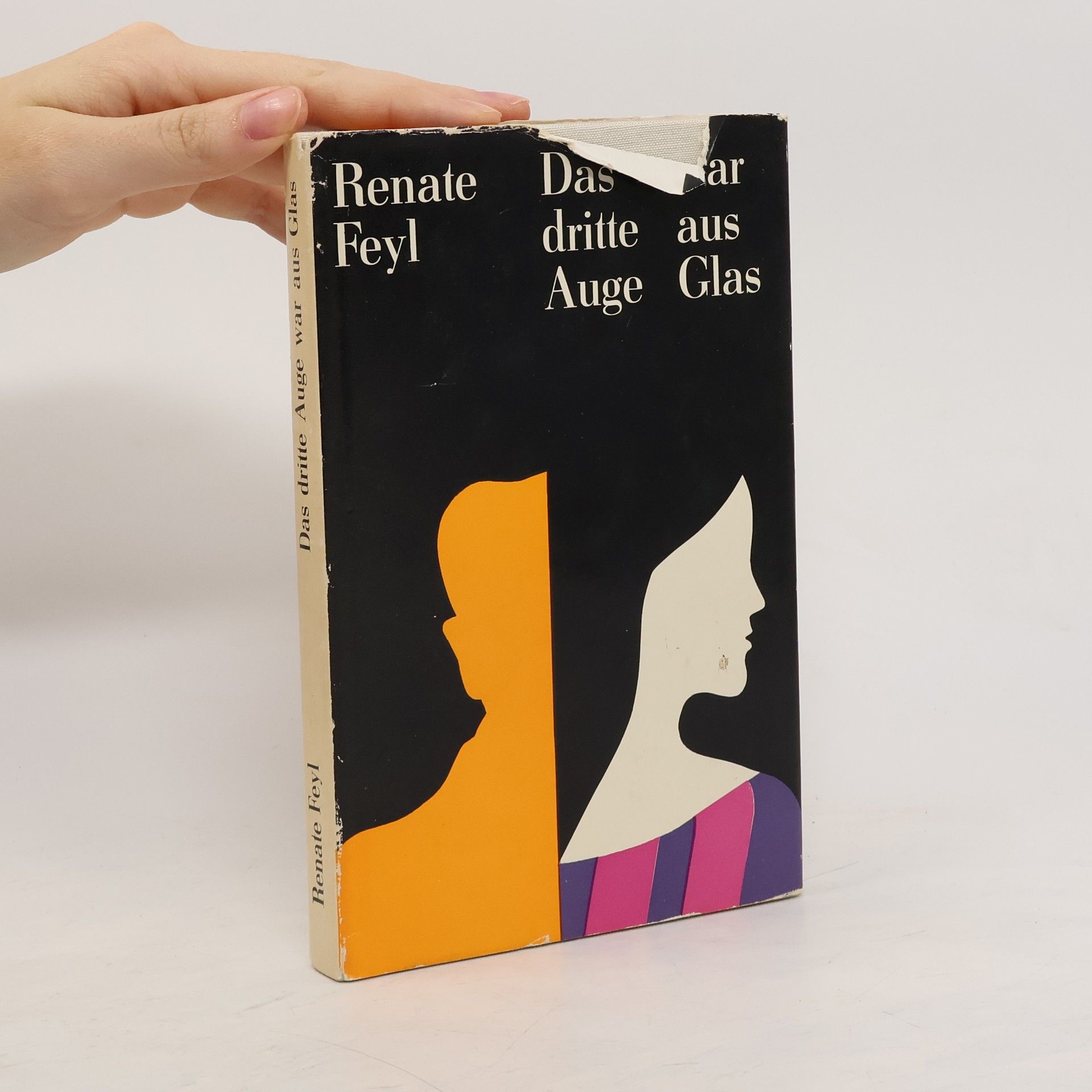 Renate Feyl Das dritte Auge war aus Glas