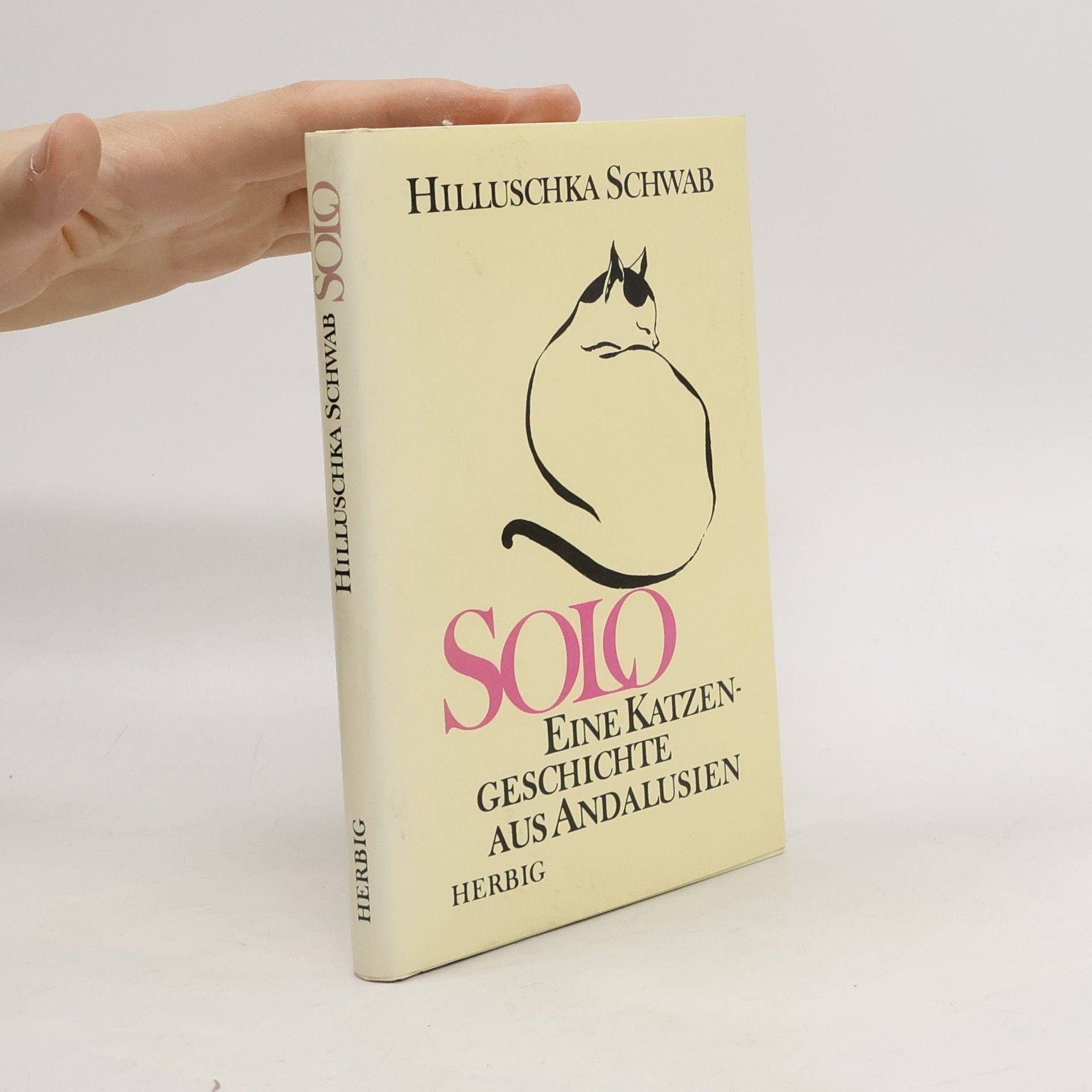 Solo Eine Katzengeschichten aus Andalusien