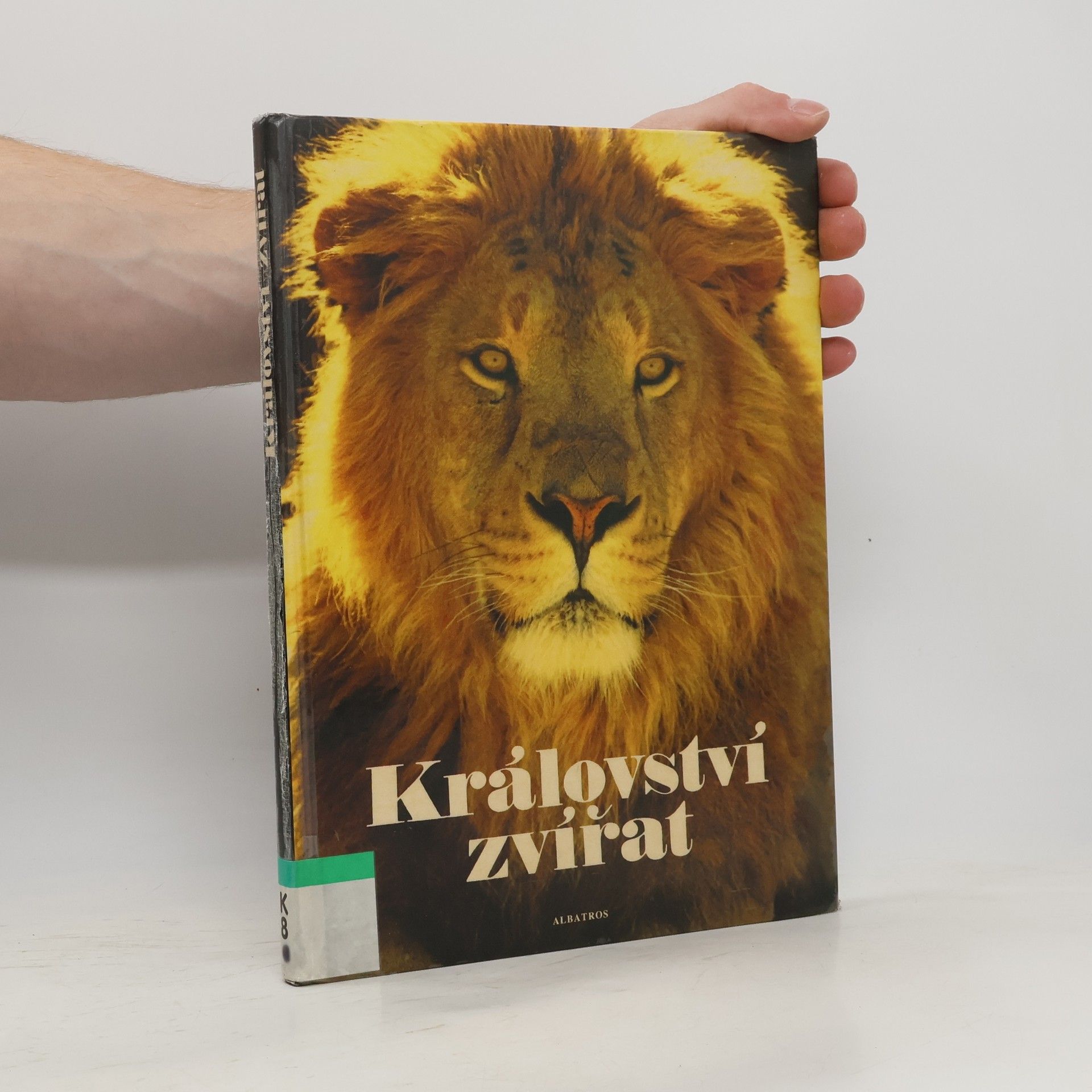 Království zvířat