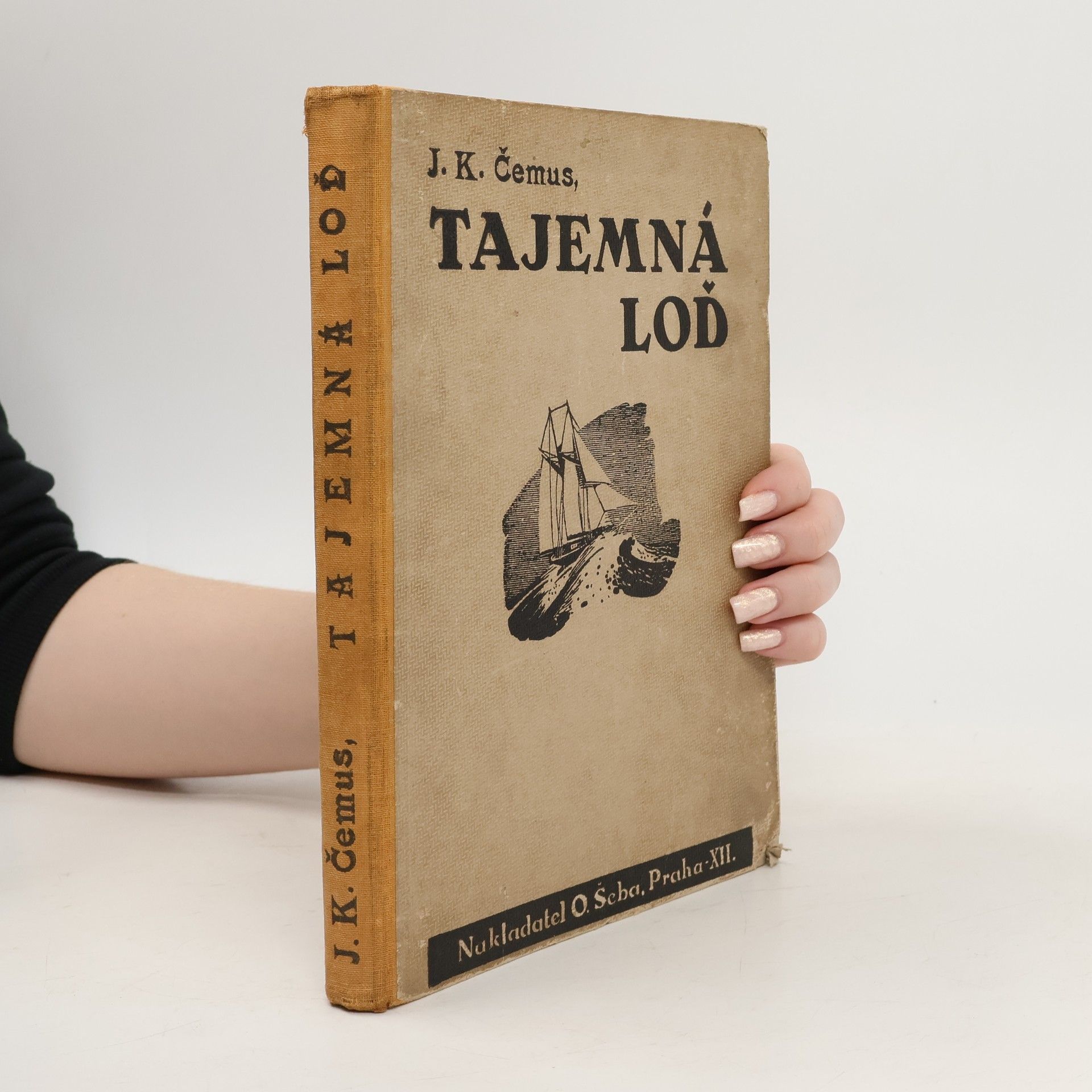 Tajemná loď. dobrodružný román pro mládež