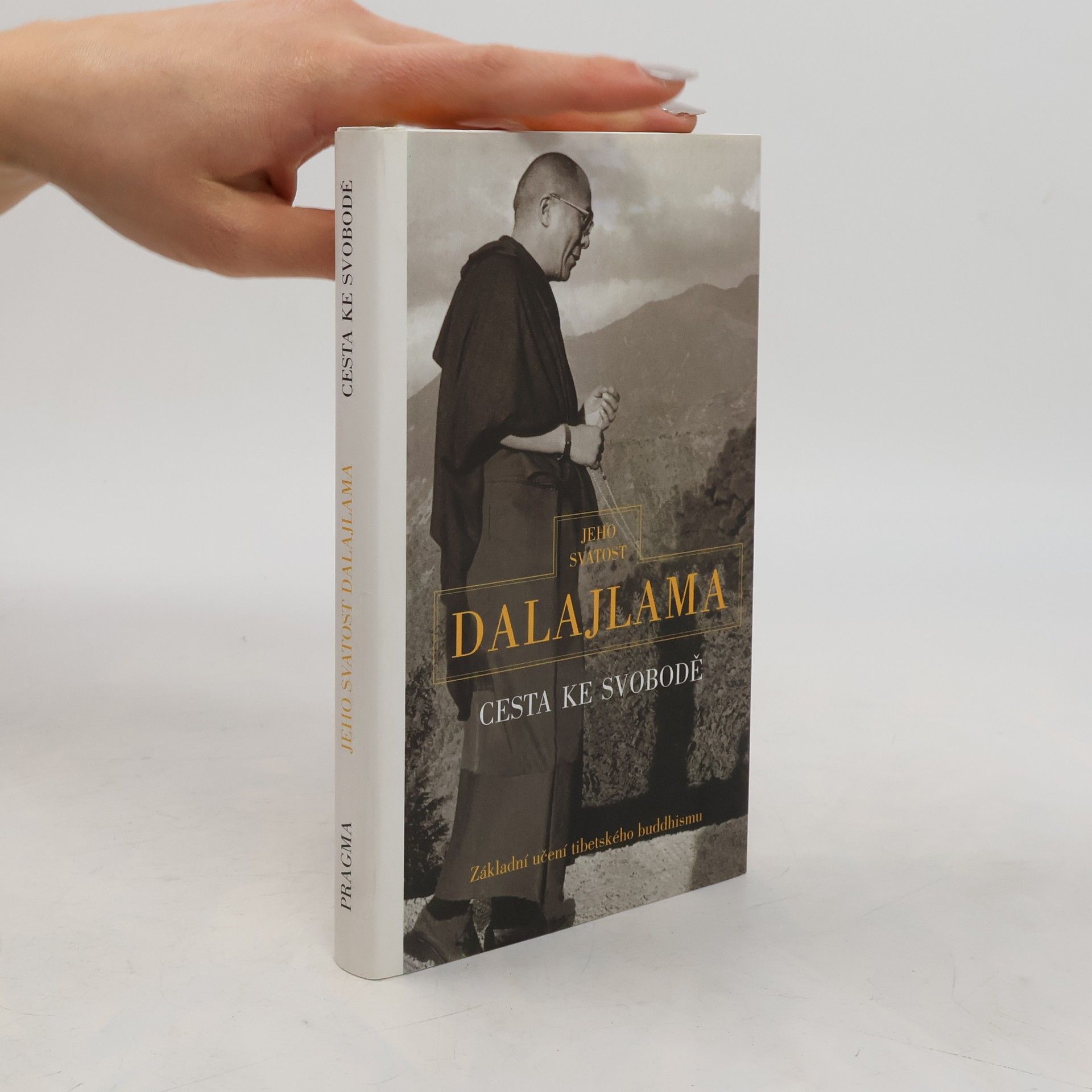 Irena Janovcová Cesta ke svobodě