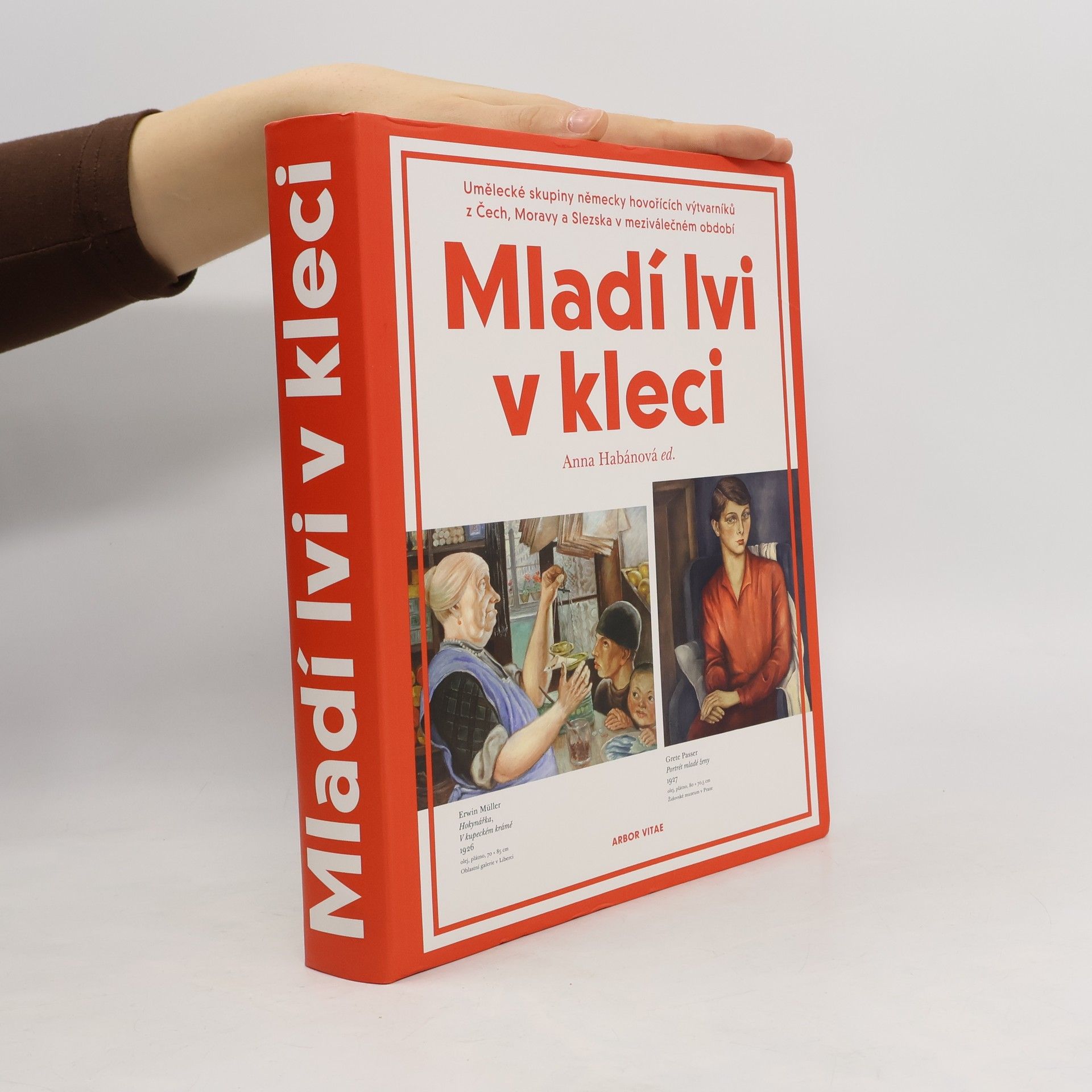 Jan Brodský Mladí lvi v kleci