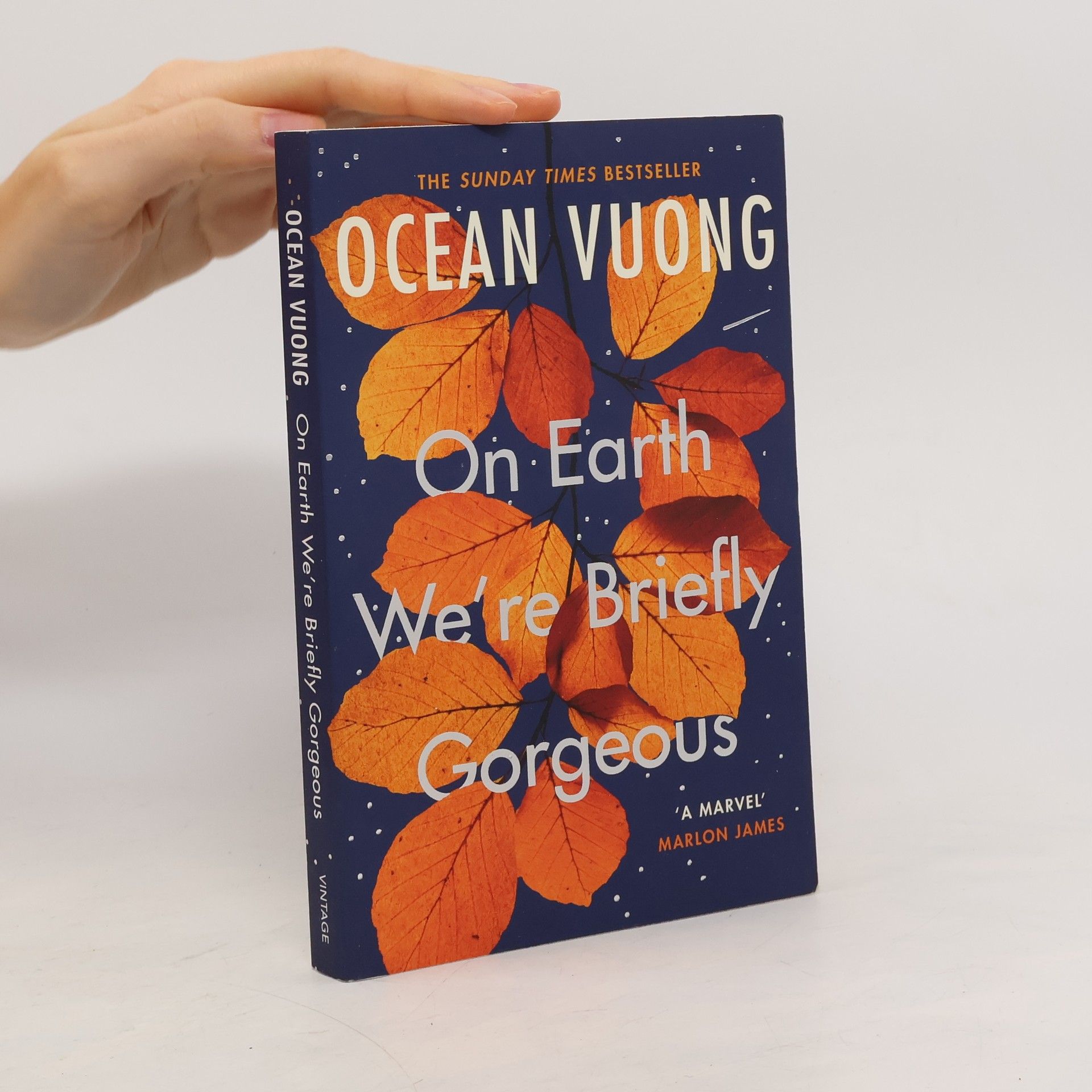 Ocean Vuong On Earth We're Briefly Gorgeous