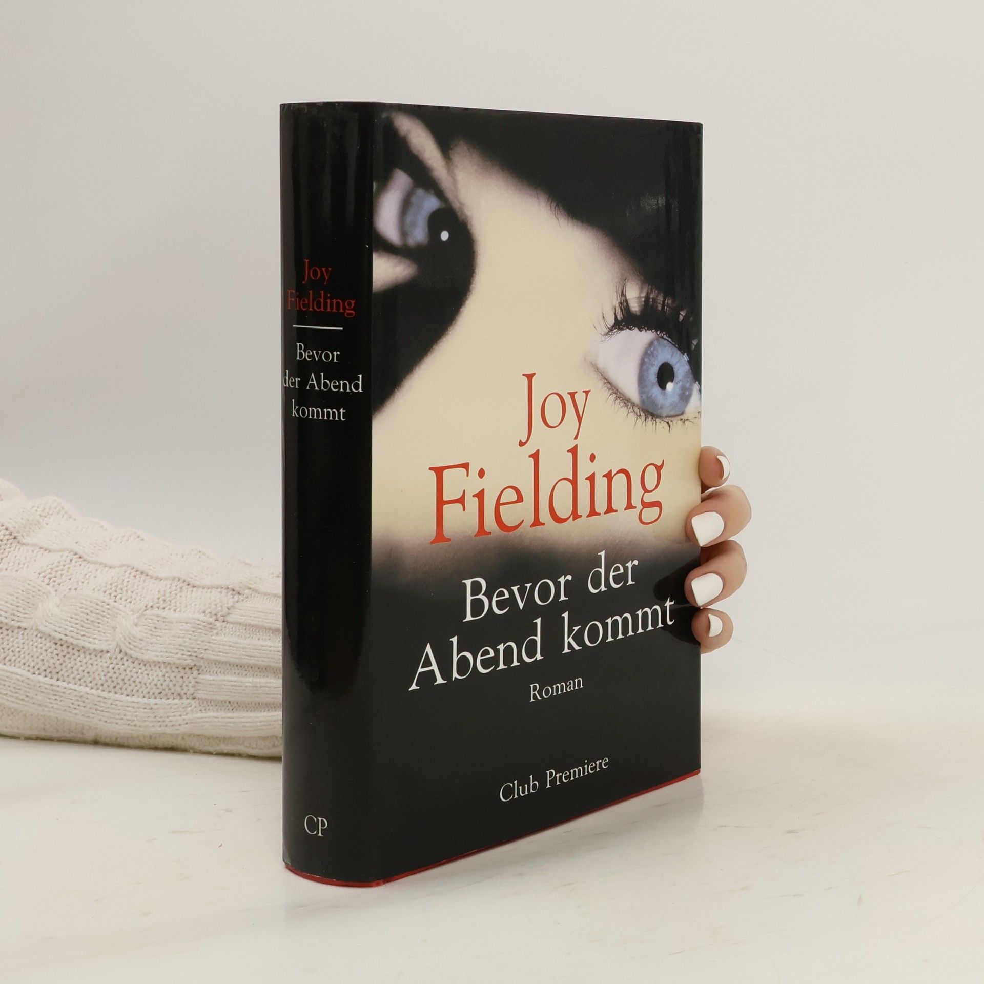 Joy Fielding Bevor der Abend kommt