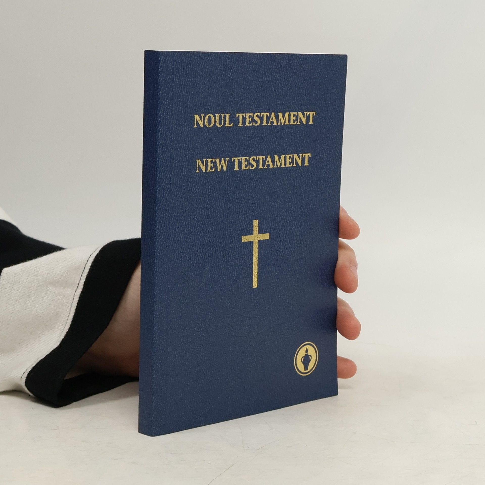 Autorenkollektiv Noul Testament