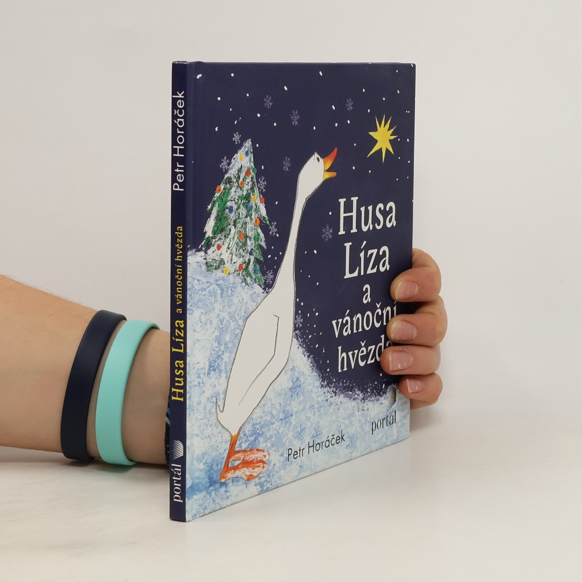 Petr Horáček Husa Líza a vánoční hvězda