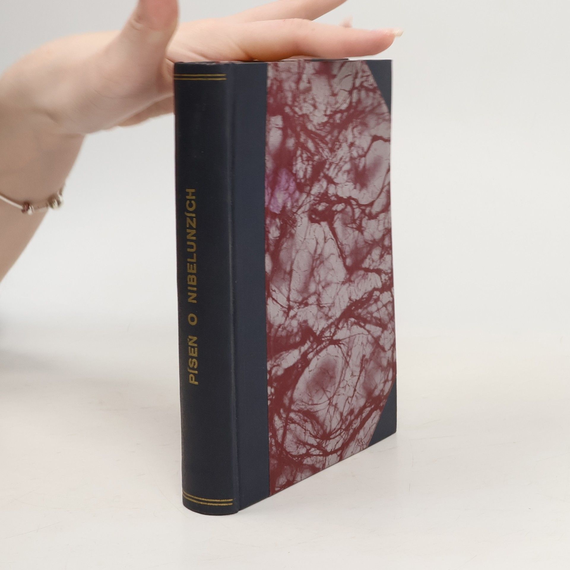 AA.VV. Píseň o Nibelunzích