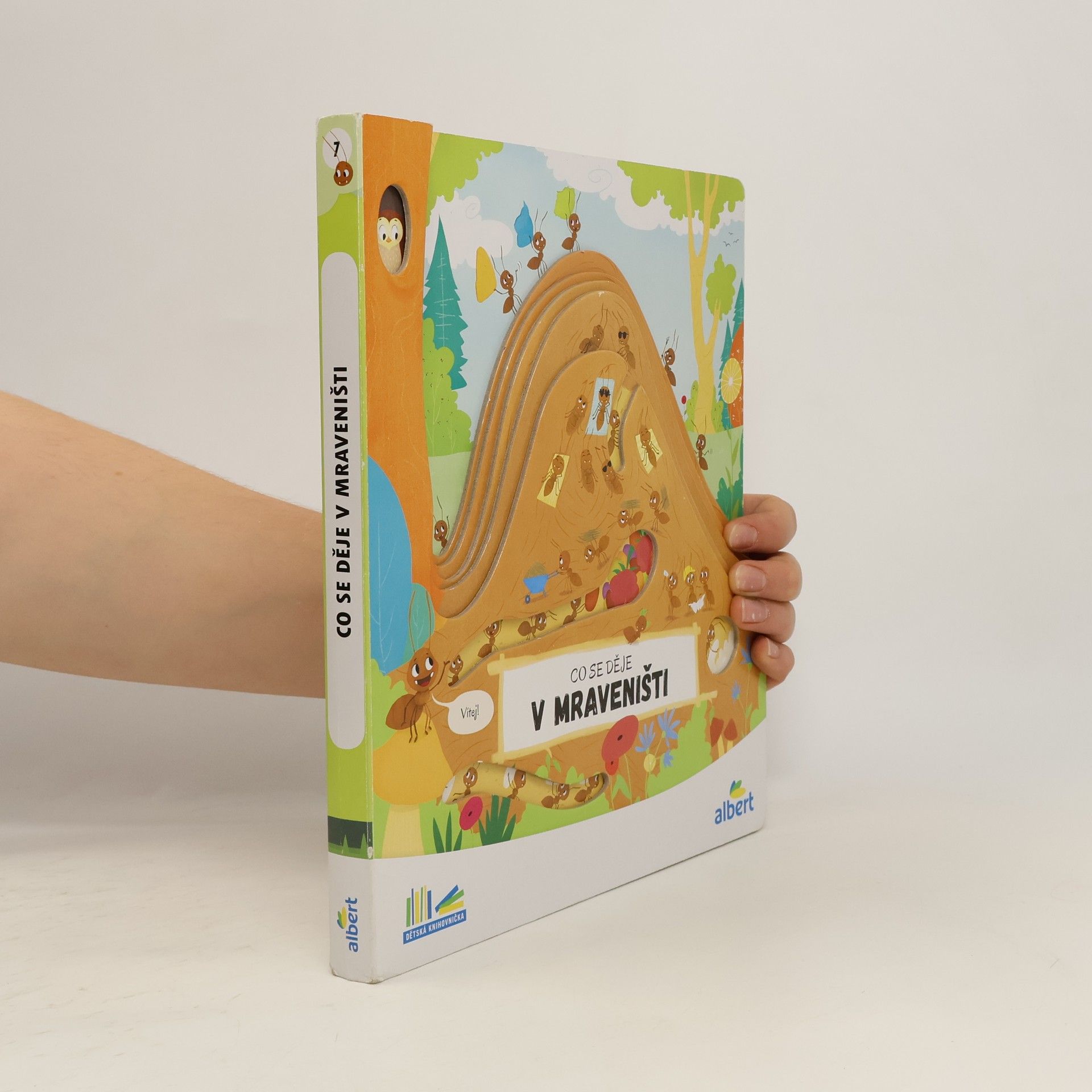 Kolektiv autorů Co se děje v mraveništi