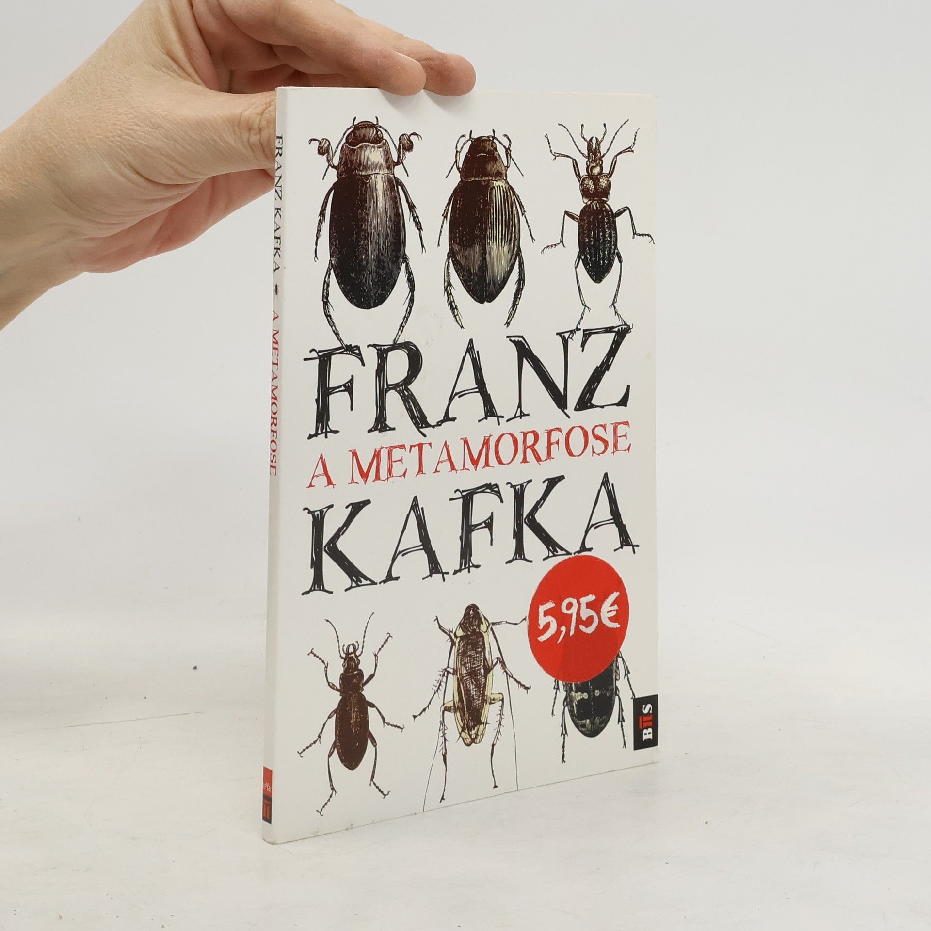 Franz Kafka A metamorfose